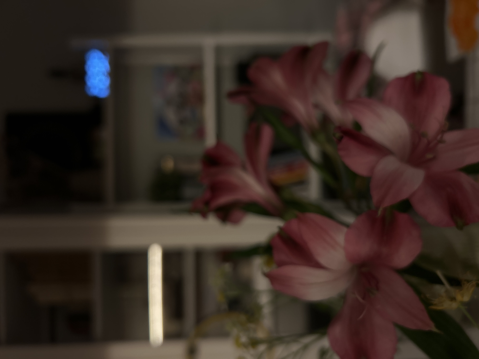 In the foreground of the image, a bouquet of pink alstroemeria flowers is prominently displayed. The flowers are in various stages of bloom, with some fully open and others still budding. Their petals are a delicate shade of pink, fading to white at the center, and they have slender, elongated shapes. The bouquet is arranged in a vase, which is mostly out of frame but its presence is implied by the way the stems are gathered. The background is blurred, suggesting a shallow depth of field. It appears to be an indoor setting, possibly a home, with shelves and furniture visible. On one of the shelves in the background, a cluster of blue lights is visible, possibly a decorative item or a light fixture. The overall lighting of the scene is dim, contributing to the soft and artistic feel of the image.