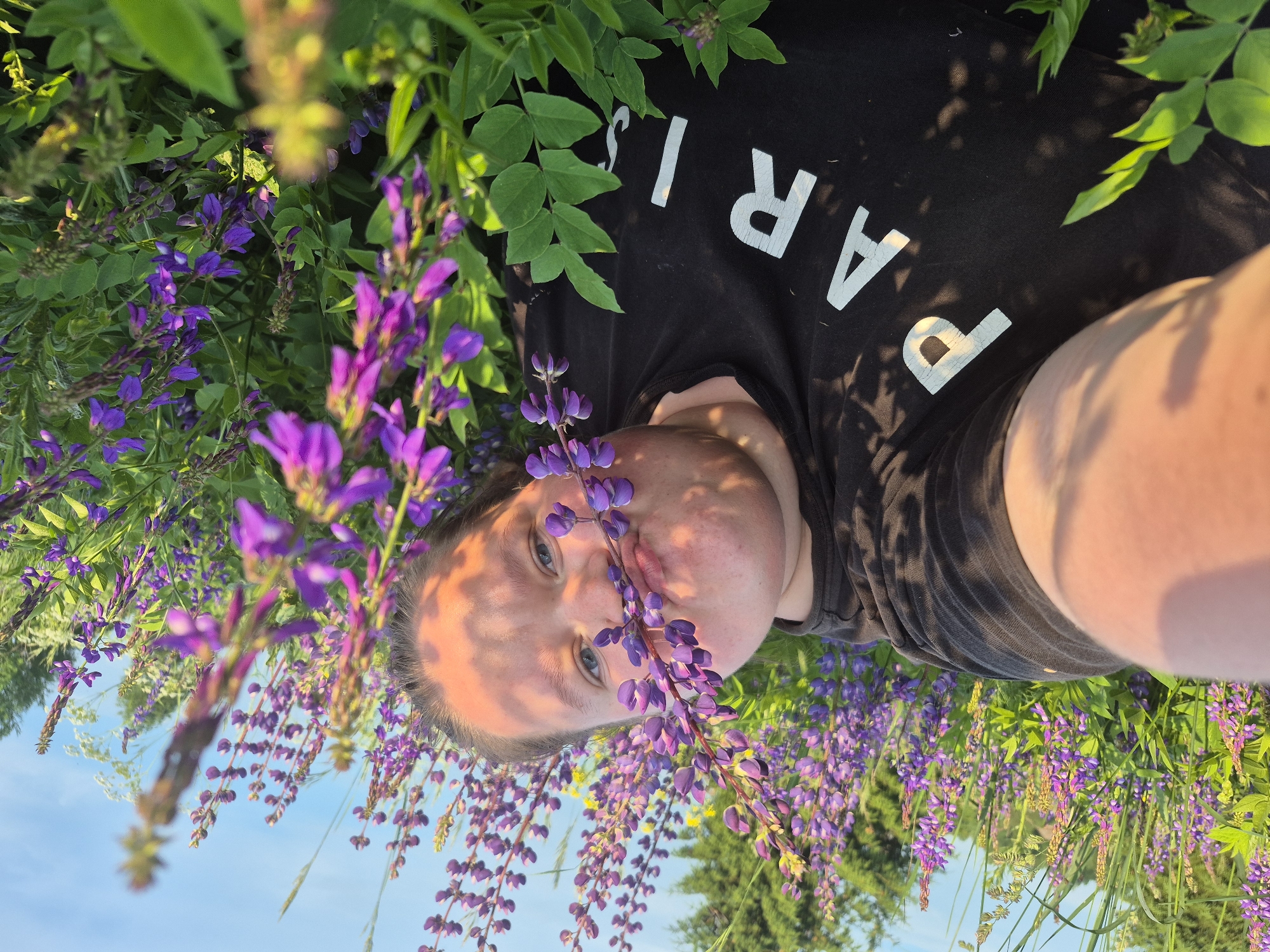 A selfie is taken by a person in a field of purple wildflowers, with lupine flowers prominently in the foreground framing the person's face. The person is wearing a black t-shirt with the word "PARIS" printed on it in white letters. The background consists of more wildflowers, green foliage, and a bright blue sky with a hint of sunlight. The scene appears to be outdoors, possibly in a rural or natural setting. No specific location in the city of Дойная, Russia, can be identified from the image.