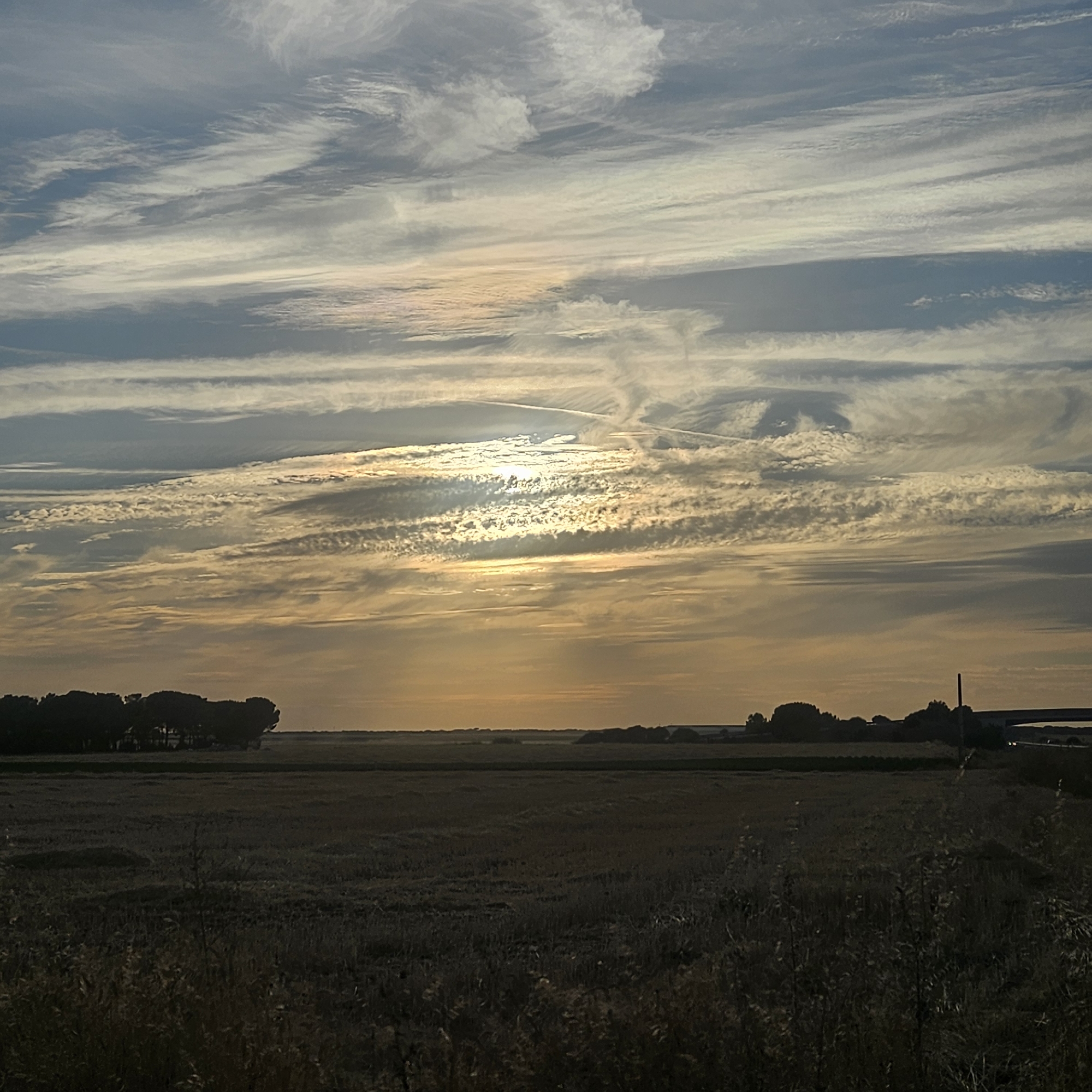 This image depicts a rural landscape at sunset, likely on the outskirts of Cuéllar, Spain, given the mention of its location. The sky dominates the upper portion of the frame, filled with an intricate pattern of cirrus clouds, thin and wispy, painted with the warm hues of the setting sun. Streaks of orange, yellow, and pale pink intermingle with softer blues and greys, creating a dramatic and textured sky.
Below the sky, a silhouetted treeline of dense, rounded trees stretches horizontally across the mid-ground. These trees appear to be a significant cluster, possibly a small forest or a row of mature trees. In front of the treeline, a vast field lies mostly in shadow, its surface appearing textured, possibly with cut crops or dry grass, suggesting a harvested agricultural area. The foreground is also dark, with the silhouettes of dry grasses and other vegetation rising towards the viewer.
The light conditions indicate it is late afternoon or early evening. The sun, though obscured by clouds, is visible as a bright, diffused source of light, casting a warm glow. On the far right of the mid-ground, a tall, slender pole-like structure is visible, and beyond it, a faint indication of a road or bridge can be discerned, with faint lights suggesting distant activity. No people or animals are clearly visible in the scene. The overall atmosphere is tranquil and natural, capturing the beauty of a rural sunset.