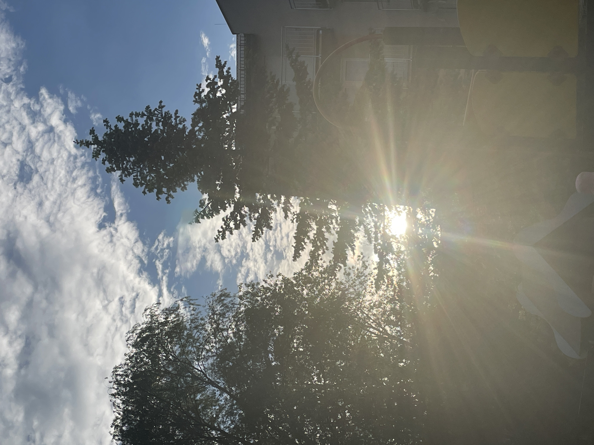 The image, taken in an urban area of Unknown, Unknown, features a view looking up through trees towards the sky. A building is visible in the background, and sunlight is shining brightly through the trees. The sky is blue with scattered clouds. A playground structure is partially visible to the right. The image is rotated.