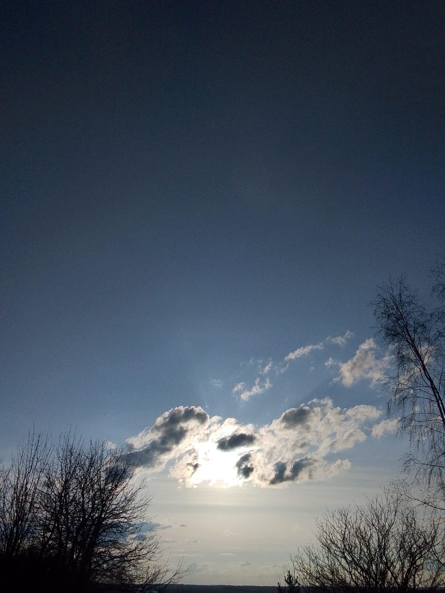 The image displays a serene natural landscape, likely in Khlevnoye, Russia, characterized by a expansive sky and silhouetted trees. The upper two-thirds of the frame are dominated by a clear, deep blue sky, which lightens considerably towards the horizon. In the mid-ground, a band of clouds stretches across the sky. The sun is partially obscured behind these clouds in the lower-middle section, emitting bright, visible rays that pierce through the cloud cover, suggesting either early morning or late afternoon.
In the foreground, the stark, bare branches of deciduous trees are silhouetted against the bright sky. A cluster of dense, leafless trees occupies the lower-left side of the image, while a taller, more sparsely branched tree extends upwards from the right edge. Another smaller, bush-like tree is visible in the lower-right corner. The absence of leaves on the trees indicates a season of late autumn, winter, or early spring. The overall scene conveys a sense of peaceful natural beauty. There are no people, animals, man-made structures, or visible text present in the image.