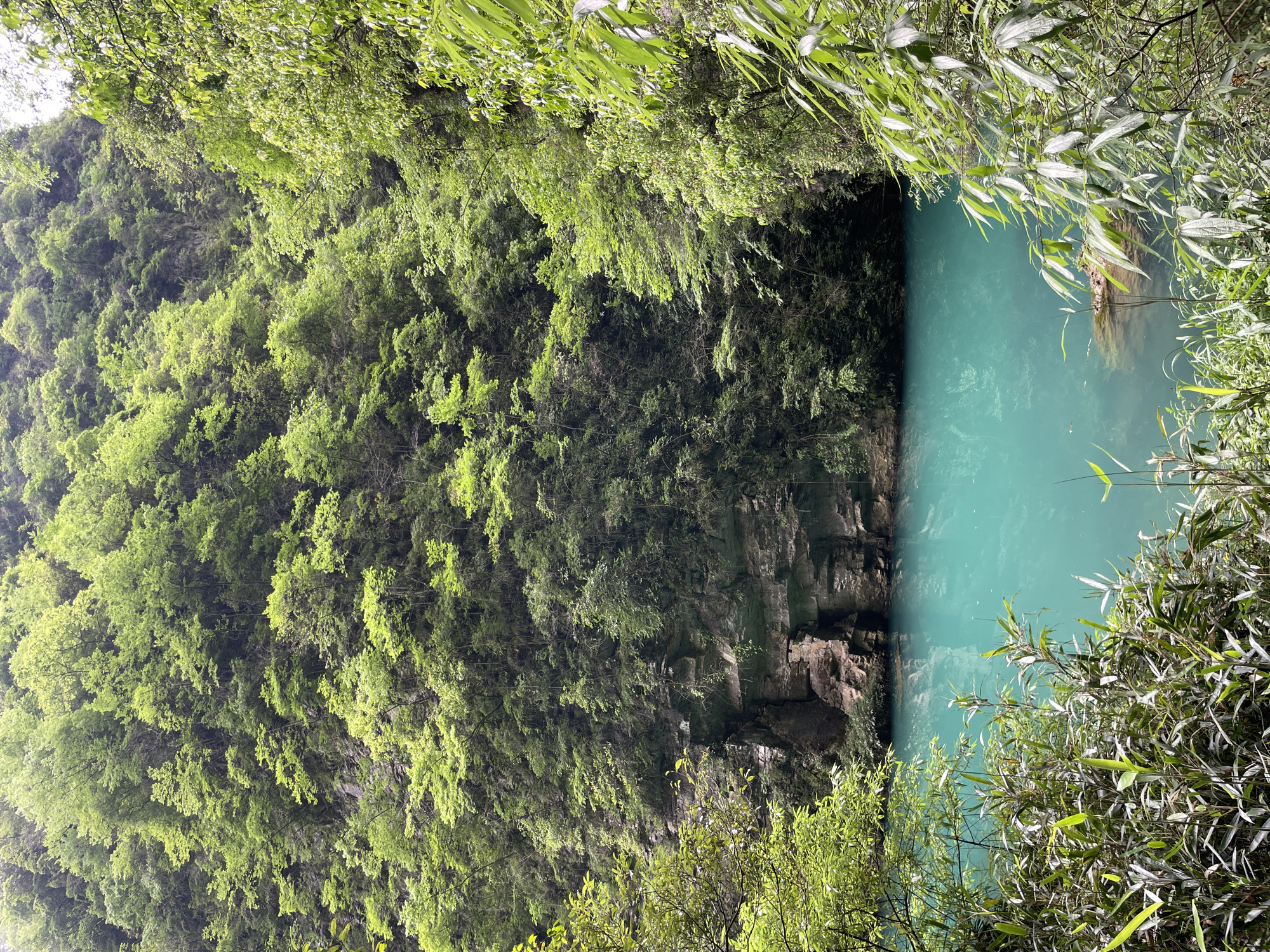 The image depicts a vivid turquoise river bordered by a lush, green forest. The river surface is relatively calm. A steep, rocky cliff face is visible between the forest and the river. The forest appears dense, with varying shades of green leaves. The image is taken at a slightly elevated angle, looking down upon the scene. The location is Sanguansi, China.
