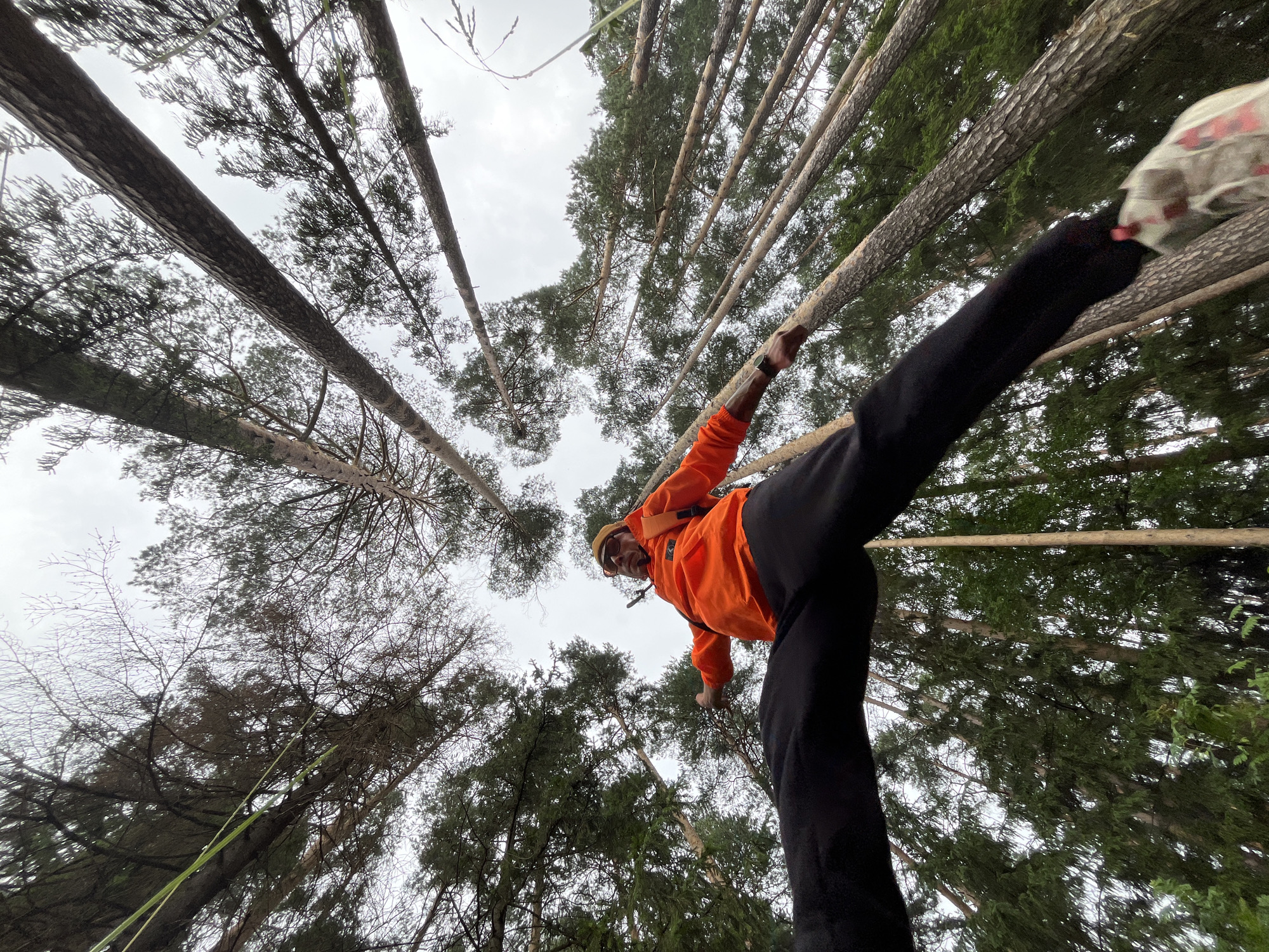 The image shows a person in an orange jacket and black pants balancing on a tree trunk in a forest. The perspective is from below, looking up at the person and the surrounding trees. The trees are tall and slender, with dense green foliage. The sky is overcast, suggesting a cloudy or rainy day. The person appears to be engaged in a balancing activity, possibly a sport like slacklining or tree climbing, given the low angle and the focus on the act of balancing. The person is smiling and looking at the camera, indicating a positive emotion. The setting is a forest, likely in Chaikovsky, Russia, as indicated by the location context. There is no visible text in the image. The overall impression is one of adventure, skill, and connection with nature.