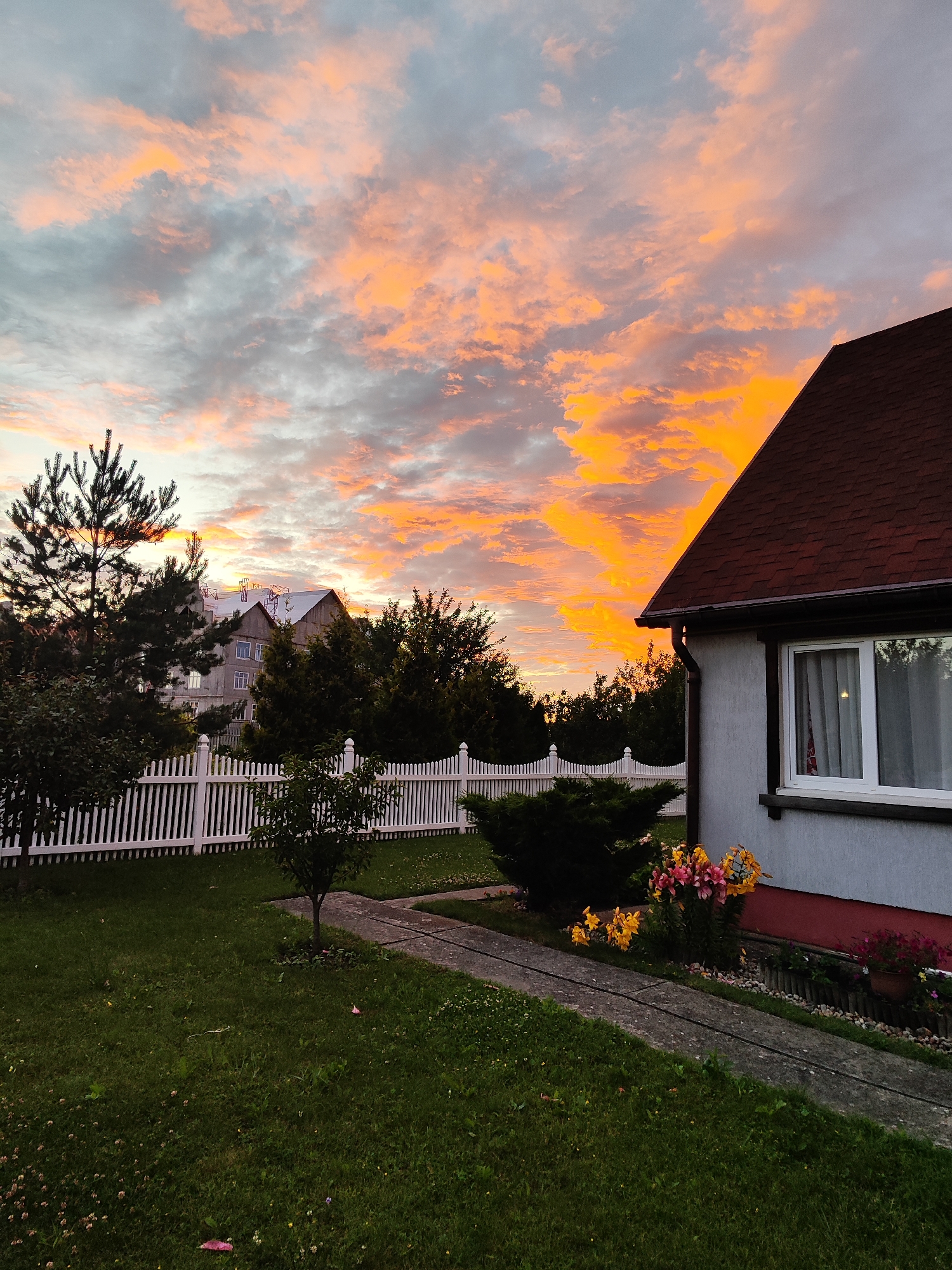 A photograph captures a sunset over a residential area, likely in Gvardeysk, Russia. The sky is filled with dramatic clouds painted in vibrant hues of orange and pink, contrasting with patches of grey. In the foreground, a section of a light-colored house with a dark red shingle roof is visible on the right. A white picket fence stretches across the middle ground, separating a neatly mown lawn from the background. Behind the fence, several trees, including a tall evergreen on the left, stand in front of buildings. The scene is tranquil, with no people or animals present, focusing entirely on the interplay of light and landscape.