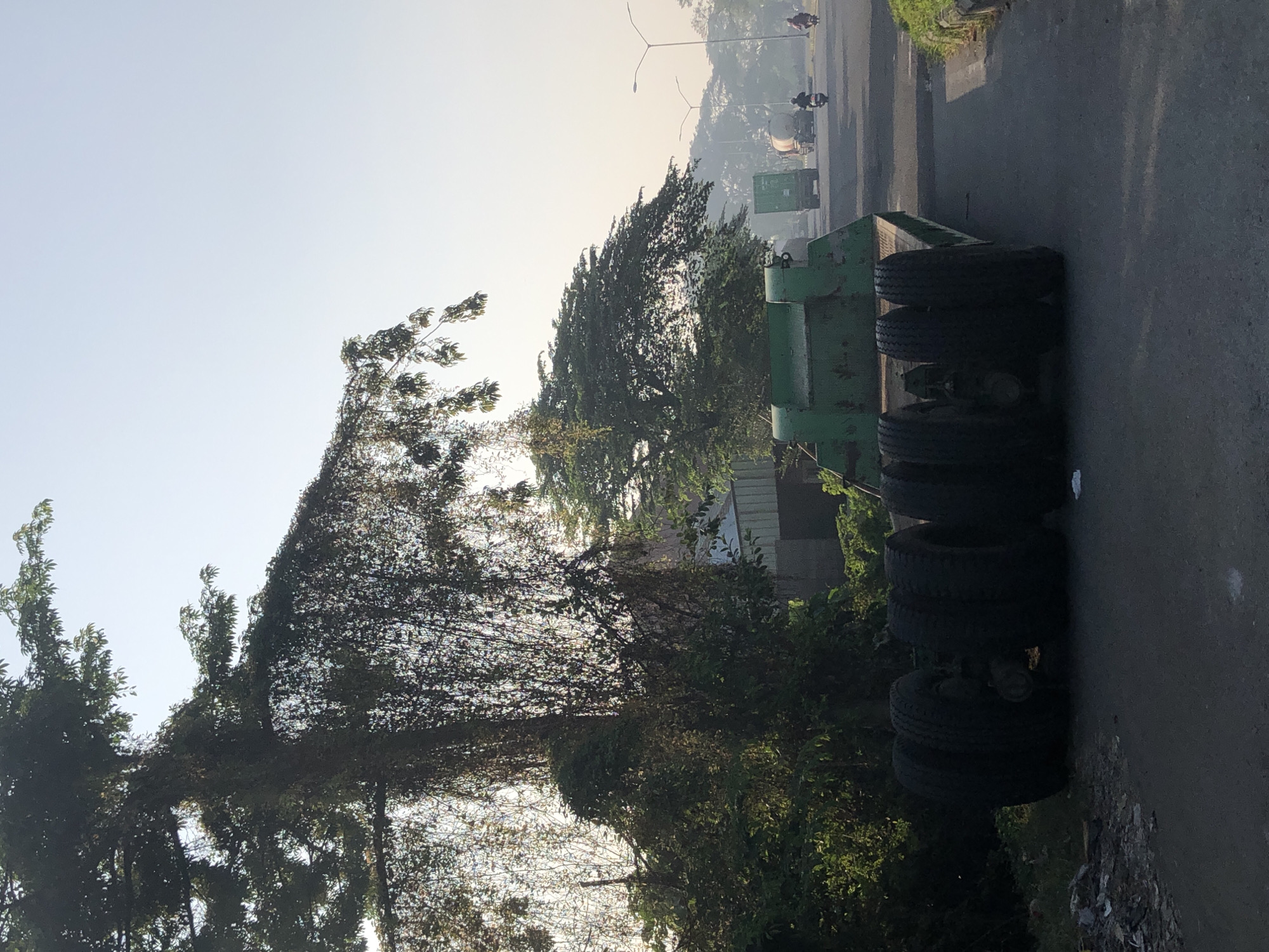 In Kludan, Indonesia, a trailer with four visible tires lies on its side on an asphalt road. The trailer is green and appears to be damaged or dislodged. A large tree covered in vines dominates the left side of the frame, its branches extending over the road. In the background, several vehicles are on the road, including trucks and motorcycles. The sky is clear and bright, suggesting it is daytime. The overall scene depicts a traffic incident with a focus on the overturned trailer and its surrounding environment.
