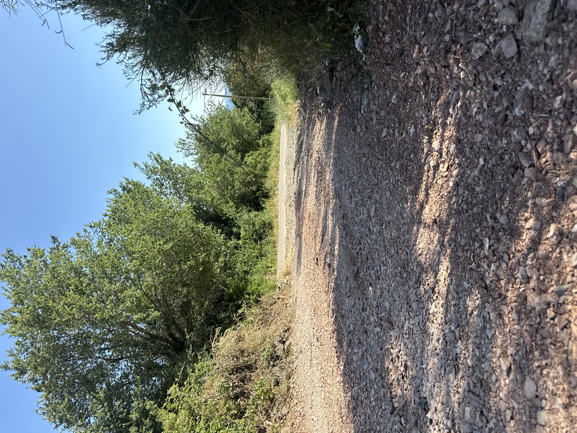 The image depicts a narrow, unpaved dirt road winding through a natural, vegetated area under a clear blue sky. The road surface is composed of small stones and gravel, with scattered shadows suggesting the presence of overhead foliage. Lush green trees and bushes flank both sides of the road, with drier, brown vegetation visible on the left embankment. In the background, the road curves to the right, and a distant, hazy landscape with hints of buildings or structures can be observed. The scene appears to be in a rural or semi-rural setting, possibly on the outskirts of a town or village. Given the context provided, this could be a pathway within or near Rafailovići, Montenegro, a coastal town known for its natural beauty. There are no people or animals visible in the image. The overall impression is one of a serene, undeveloped pathway leading into a natural environment.
