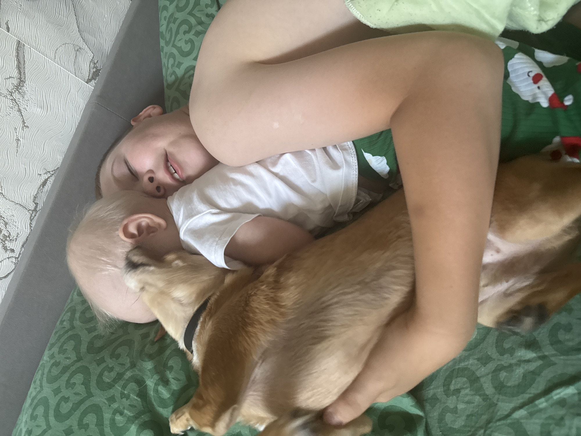 The image shows a close-up of a young boy and a baby lying in bed, with a small tan dog nestled between them. The boy, on the right, has his eyes closed and appears to be sleeping or resting. The baby is on the left, with its head against the boy's chest and the dog licking the baby's head. The dog is on its back, held by the boy's arm. They are all lying on a green patterned bedsheet. The background shows a textured wall and a grey headboard. The overall scene depicts a tender moment of affection between the boy, baby, and dog. The image does not provide any specific visual cues that would allow for the identification of its location within the city of Chaikovsky, Russia.