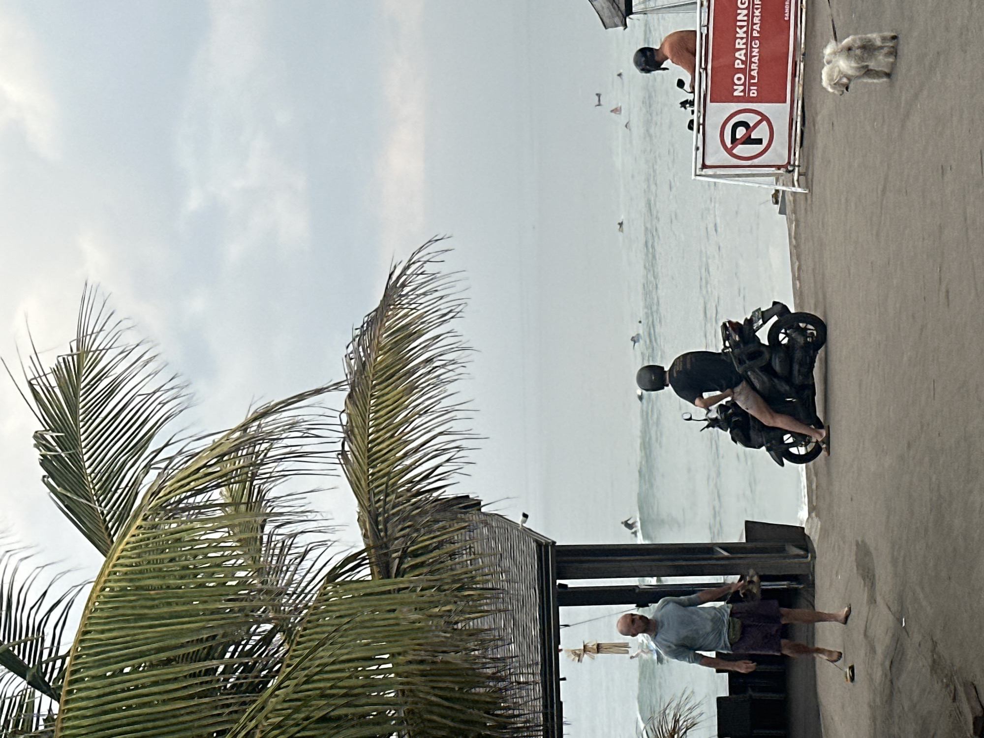 The image depicts a cloudy day at a beach in North Kuta, Indonesia, with a calm ocean and several surfers in the water. In the foreground, a bald man wearing a light blue t-shirt and dark shorts walks on a paved area, carrying a pair of sandals. To his right, a person wearing a black helmet and t-shirt sits on a scooter. Further to the right, a white dog on a leash walks away from the camera. A red and white sign reads "NO PARKING" in English and "DILARANG PARKIR" in Indonesian. A palm tree overhangs the scene from the left.