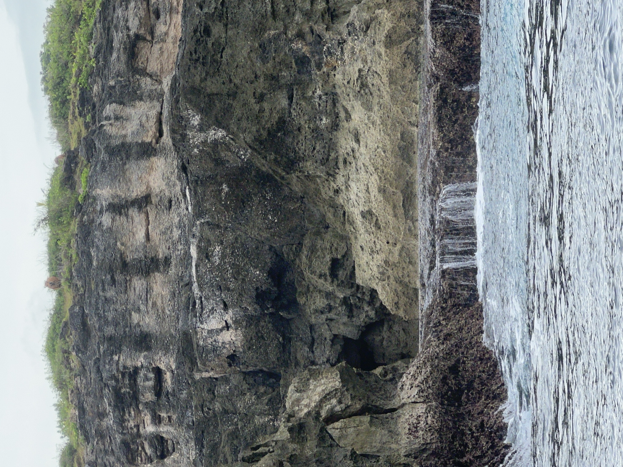 This media file captures a rugged coastal scene in Nusa Penida, Indonesia, featuring a towering rock cliff meeting the ocean under an overcast sky. The image is oriented vertically, with the cliff face dominating the left side and the ocean on the right.
The massive cliff is composed of dark, textured rock, displaying varying shades of grey, brown, and black. Its surface is irregular, marked by numerous cracks, crevices, and erosion patterns, indicating a long history of exposure to the elements. Several lighter, sandy-colored patches contrast with the darker rock, and small indentations or caves are visible along its lower sections. Sparse green vegetation clings to ledges and cracks on the cliff face.
At the very top edge of the cliff, lush, vibrant green foliage forms a dense canopy, hinting at a verdant landscape above. This green growth stands in stark contrast to the dark, imposing rock.
The ocean water on the right is a deep blue-green, appearing choppy and textured with ripples and small waves. It laps gently against the base of the cliff, where a dark, wet intertidal zone of rock or algae is visible. Several small streams or waterfalls cascade down the cliff face, adding thin white lines of moving water that flow directly into the ocean.
The sky, visible in the upper part of the image (if oriented horizontally), is overcast and uniformly light grey, indicating a cloudy day with muted light. No people, animals, or man-made structures are visible. There is no visible text. The scene evokes a sense of raw natural beauty and isolation.