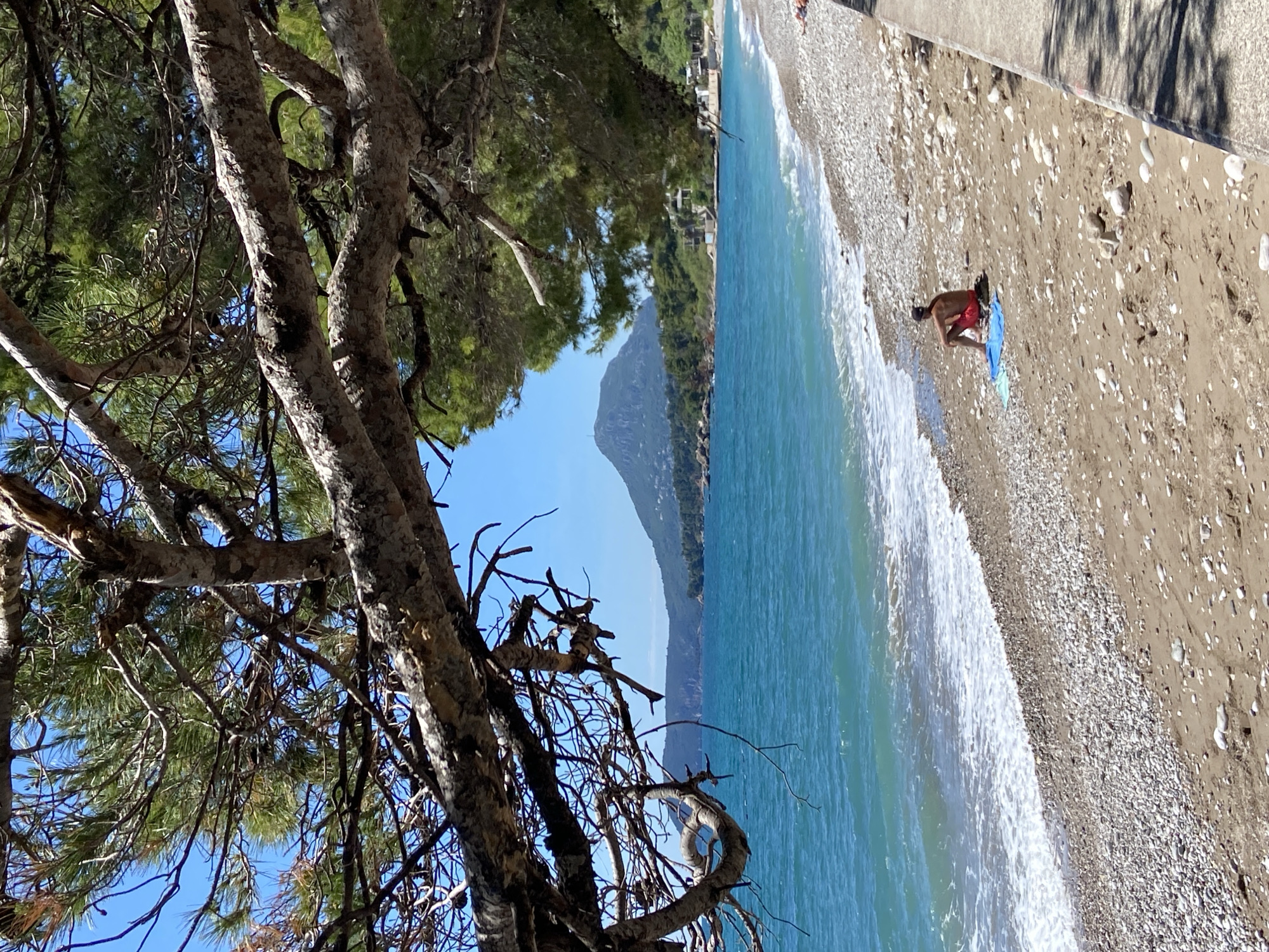 A beach scene in Bar, Montenegro is depicted. In the foreground, the gnarled branches of a tree frame the view. The turquoise sea stretches toward the horizon, bordered by a pebble-strewn beach where a single person in red shorts kneels, possibly with a towel or mat nearby. A mountain rises in the background. A promenade or sidewalk appears to run along the back of the beach, with shadows cast upon it.