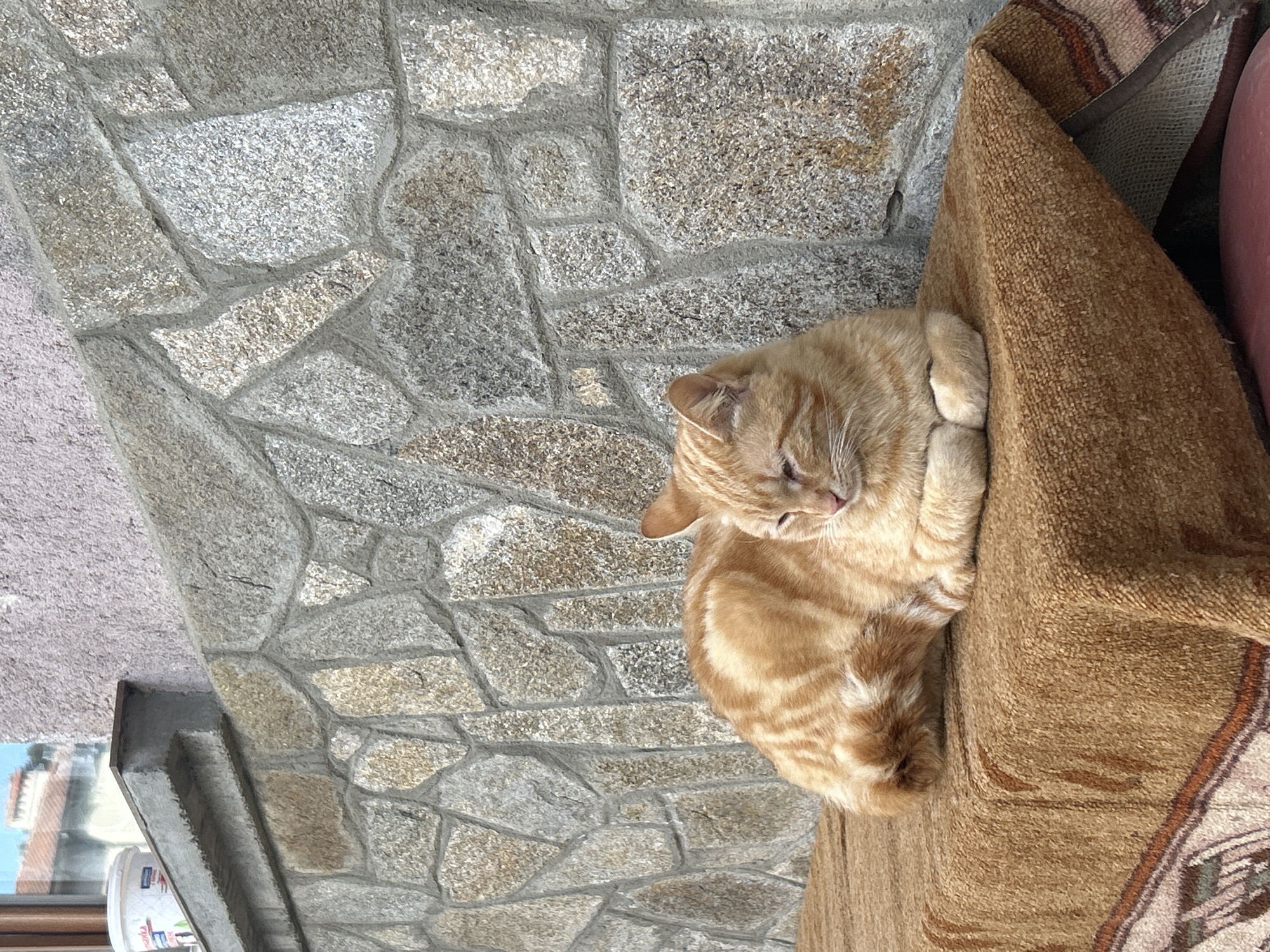 An orange tabby cat is observed resting on a brown woven blanket in Zlatograd, Bulgaria. The cat, displaying striped markings on its orange fur, is positioned with its body curled and its forepaws tucked, appearing to be in a relaxed or sleeping state with eyes partially closed. The blanket features a textured surface and a visible decorative border at its lower edge, covering an unseen support structure. The immediate background consists of a wall constructed from irregularly shaped, mortared granite or similar stone fragments, exhibiting variations in grey and brown tones. Above the stone wall, a section of a lighter, finer textured wall is present. To the upper left of the frame, a window sill is visible, supporting a white cylindrical container with red and blue accents on its label. A reflective surface, likely a window, shows a distant architectural detail, possibly rooftops, under daylight conditions. The scene is illuminated by direct sunlight.