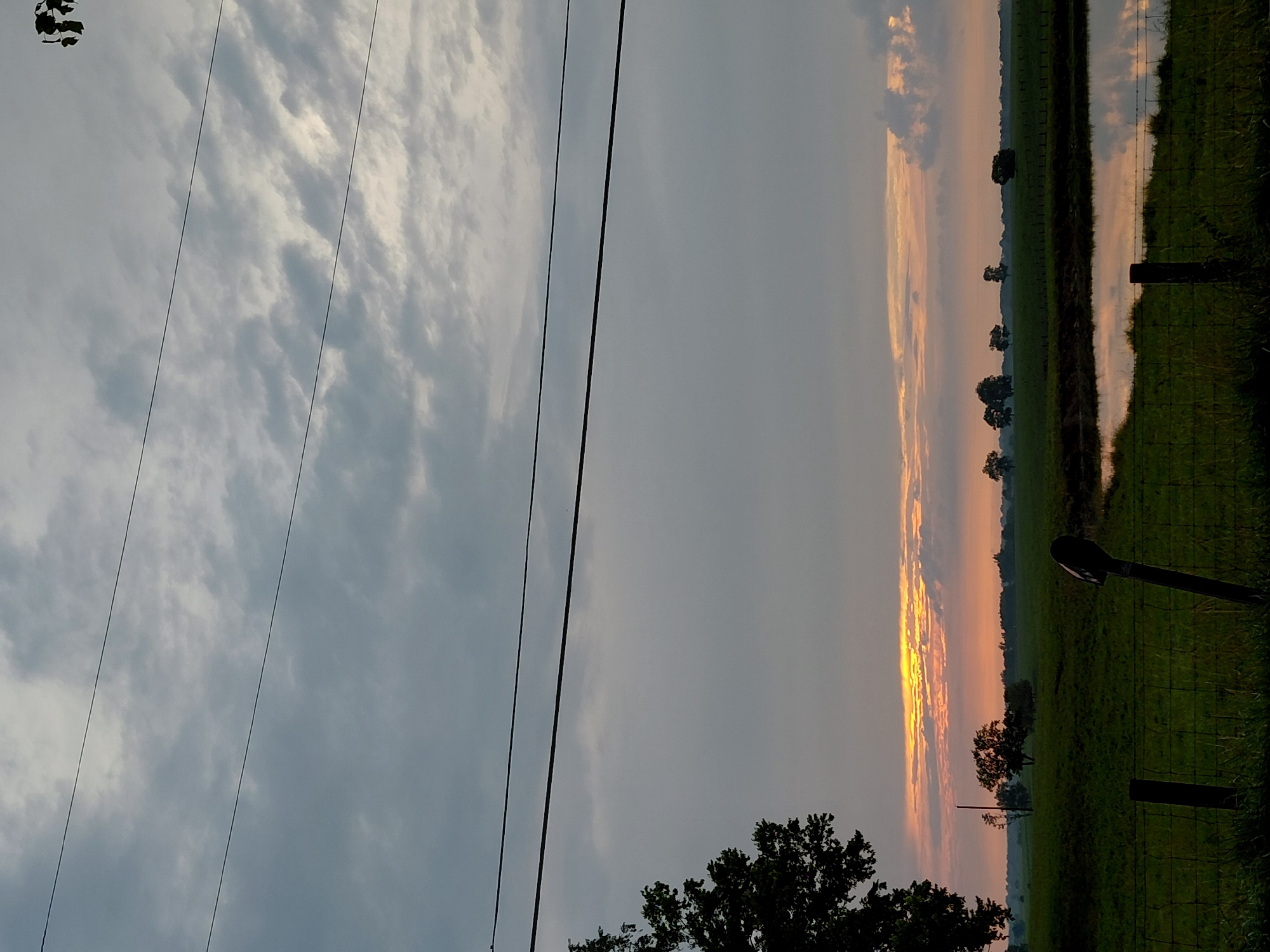 The image depicts a pastoral scene at dusk, likely in Lexington, United States of America. The sky is filled with a mix of gray clouds, with a band of pale orange and yellow visible near the horizon, indicating the setting sun. Two horizontal power lines stretch across the upper portion of the frame. In the foreground, a fence constructed of wire mesh and wooden posts runs horizontally. To the left, the dark silhouette of a large tree with lush foliage occupies a portion of the frame. Beyond the fence, a green, grassy field extends towards the horizon. A calm body of water, reflecting the muted colors of the sky, is situated in the mid-ground. Several scattered trees are visible in the distance, with a line of trees forming a distant treeline. A solitary black object, possibly a fence post or sign, is positioned vertically within the field, slightly to the left of center. The overall atmosphere is serene and tranquil, characteristic of a rural landscape at twilight.