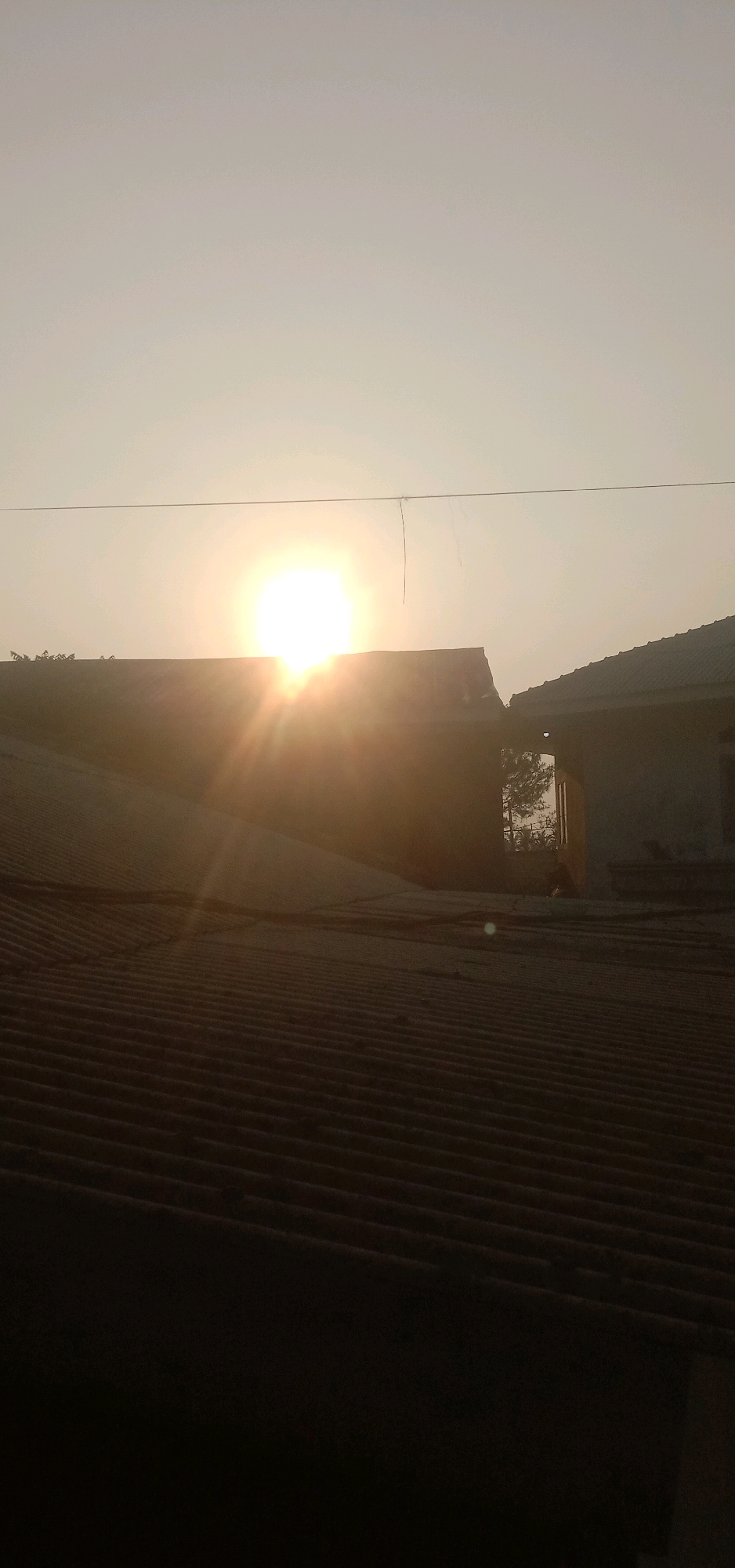 A bright sun is setting over a cluster of buildings with corrugated metal roofs in Palasari, Indonesia. The sun is a large, luminous orb positioned just above the horizon, casting a warm, golden light that creates a lens flare effect with visible rays emanating outwards. The sky is a pale, hazy yellow, indicating the presence of atmospheric dust or the soft glow of dusk.
In the foreground, the textured surface of a corrugated metal roof fills the lower half of the image, its ridges and valleys darkened by shadow. Behind this, a taller, dark structure with a similar roofline is partially silhouetted against the sky, with a break or gap in its roof. To the right, another building with a dark, sloped roof is visible, and a reflective window or opening shows a faint reflection of trees and sky. A thin wire stretches horizontally across the upper portion of the image, with a short, dark string hanging from it. The overall scene depicts a quiet, residential or industrial area in Palasari as daylight fades.