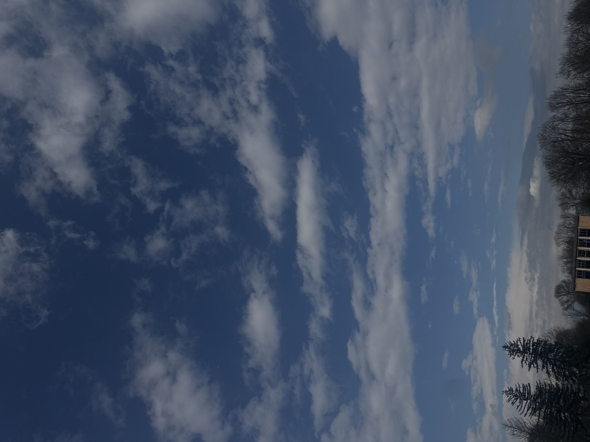 The image shows a sky with white and grey clouds, a dark blue sky and a light blue sky. In the bottom right corner are two dark trees. Further up is a building with rectangular windows. The image is vertical. The location is likely Lehchevo, Bulgaria.