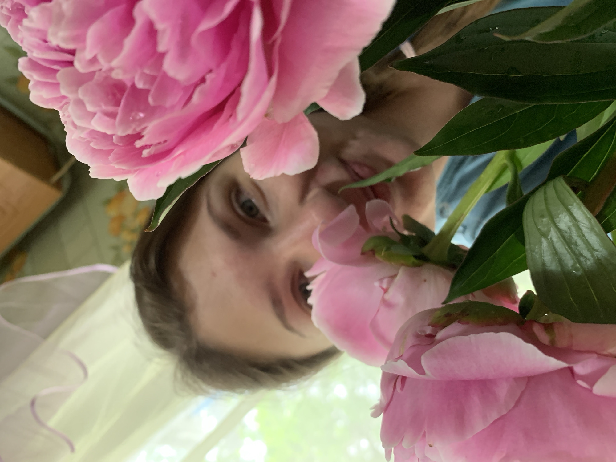 A close-up, low-angle shot shows a person's face partially obscured by bright pink peonies. The person, with light brown hair, is looking at the camera with a slight smile. The background is blurred, showing hints of a window with sheer curtains and green foliage, suggesting an indoor setting with natural light. The peonies are lush and vibrant, with dewdrops visible on some petals. The image appears to be taken in a home environment, possibly in Chaikovsky, Russia, given the context of the query.
