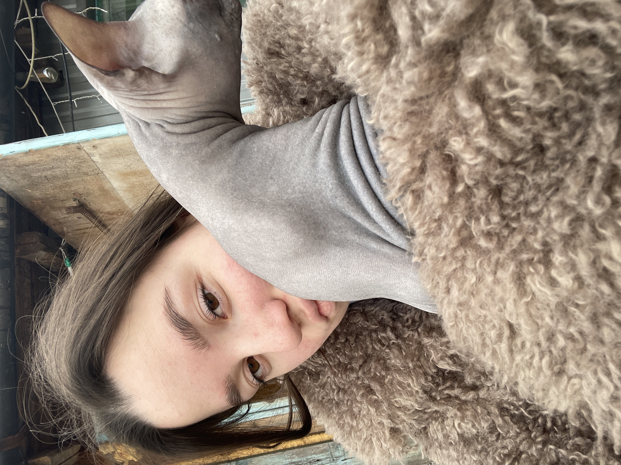 In the city of Ольховка, Russia, a close-up, high-angle portrait features a female individual and a Sphynx cat. The female, positioned on the left, has brown hair and light brown eyes, looking directly forward with a slightly pursed mouth. Her face exhibits some redness on the cheeks and nose. She is enveloped in a thick, light brown, curly-textured coat. A grey, hairless Sphynx cat is nestled against her right cheek and neck, with its body and right ear prominently displayed, partially obscuring the individual's face. The cat's skin shows visible wrinkles. The background comprises weathered wooden planks, some exhibiting faded light blue paint, with a metallic spring-like object attached to the wood on the upper left. Overhead, string lights with small bulbs are visible, strung against a dark, possibly corrugated, structural element. The scene suggests an outdoor or semi-enclosed, rustic setting.