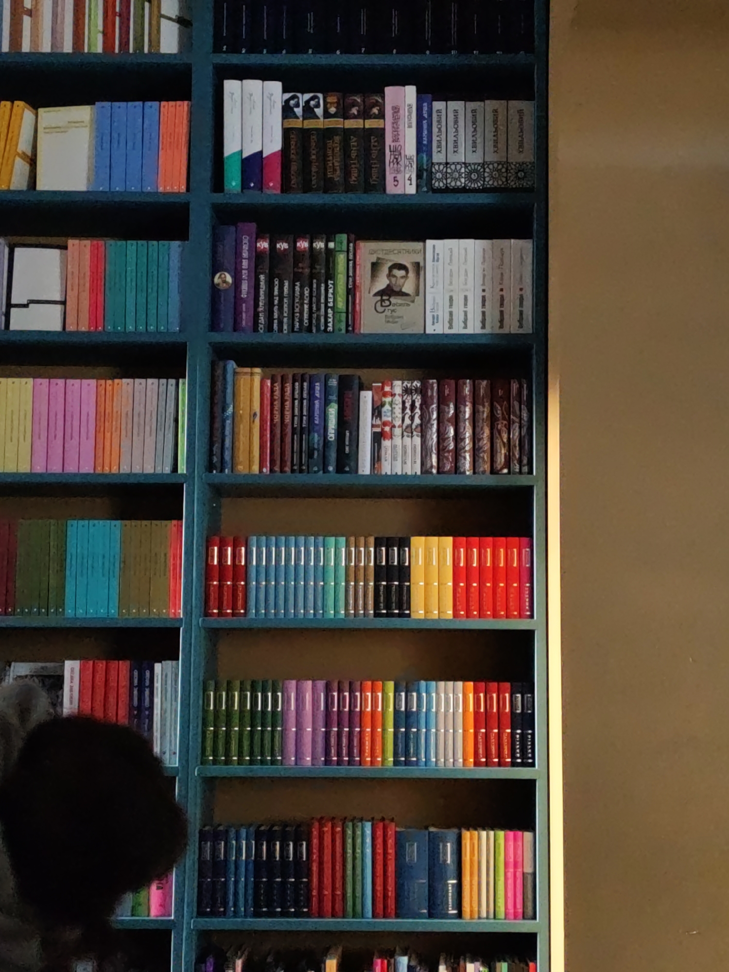 The image shows a close-up of a bookshelf filled with books. The bookshelf appears to be teal-colored and is arranged in multiple rows. The books are diverse in color and size, creating a vibrant and organized display. Some books have visible titles, mostly in Ukrainian and Russian, including "Чорна Рада", "Хвильовий", and "Захар Беркут". The scene seems to be indoors, likely in a library or a private home. A blurred person with dark hair is partially visible on the lower-left side of the image. A portion of a wall is visible on the right side of the frame, reflecting some light. There is no other available data to suggest the location is Vinnytsia, Ukraine.