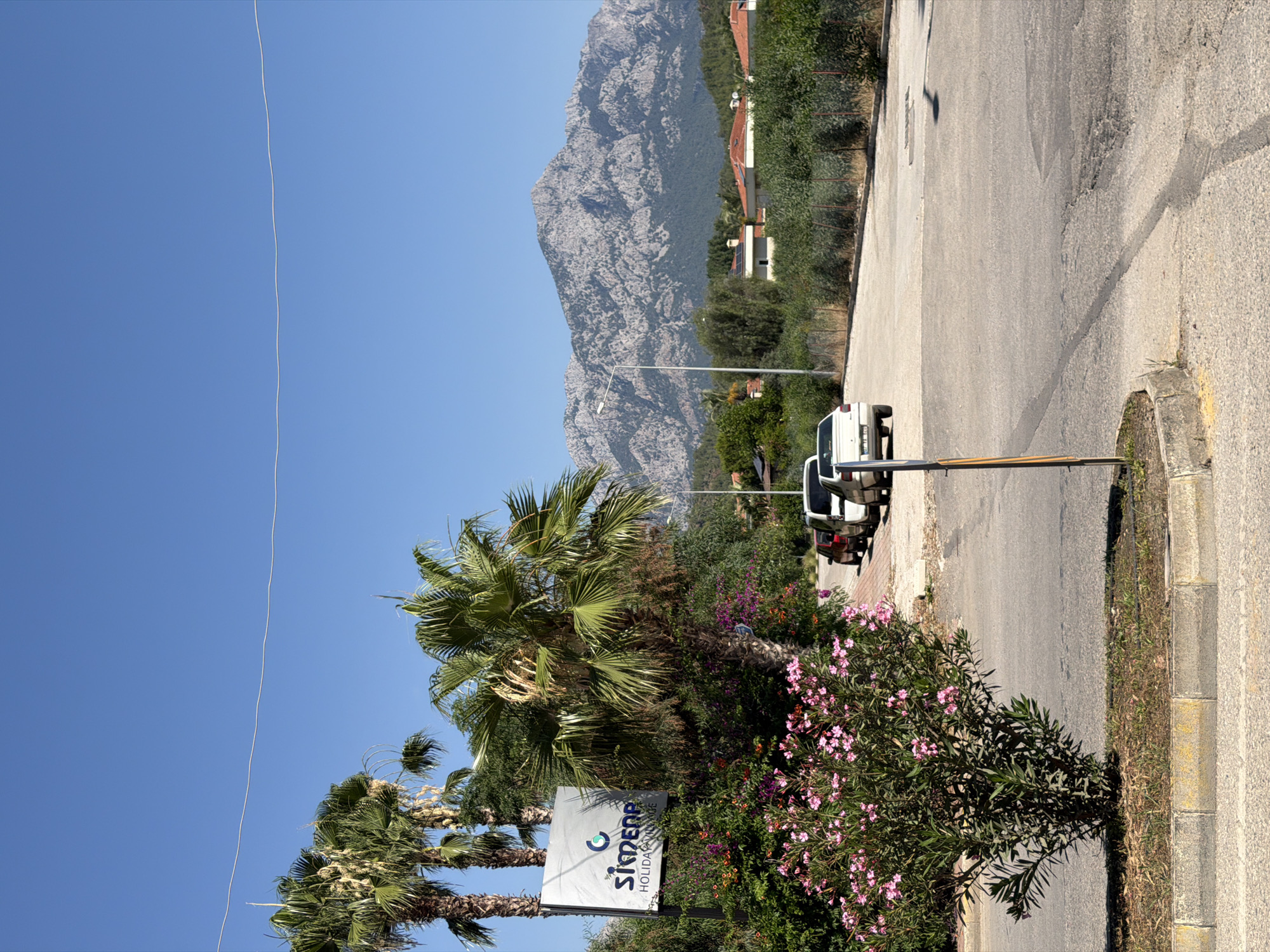 A wide shot captures a sunny daytime scene in a Mediterranean-like environment. In the foreground, a paved road curves to the right, bordered by a concrete curb. A small, circular patch of grass and dirt with a yellow-tipped pole is situated in the lower left. To the left of the road, a dense bush with numerous small pink flowers is in full bloom. Further left, a white sign with a blue logo and text reads "SIMENA HOLIDAY VILLAGE". Two palm trees stand behind the sign, their fronds reaching upwards. The middle ground shows a line of parked cars, including a white sedan, a white SUV, and a red car. Beyond the cars, a fence separates the road from a vegetated area with houses visible in the distance. A prominent, rocky mountain range dominates the background under a clear blue sky. The lighting suggests a warm, sunny day.