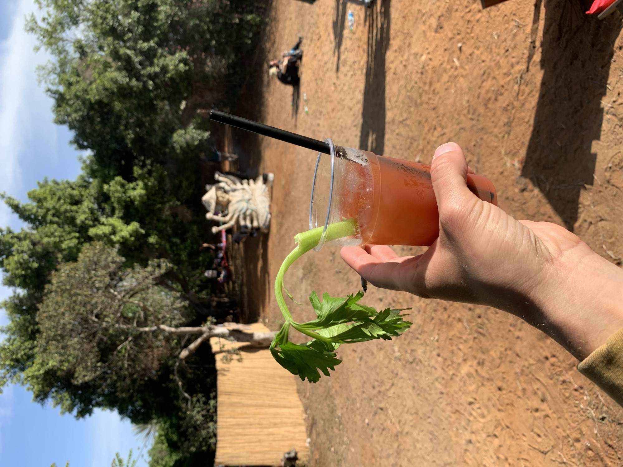 A first-person shot of a fair-skinned human hand holding a clear plastic cup filled with a reddish-orange liquid, adorned with a celery stalk and a black straw. The background shows a sandy, somewhat barren area, with a few sparse trees and some vague human forms in the distance. There is a tan, woven structure in the lower left, and a white sculpture in the center background. The image was taken at Gan Soreq, Israel.