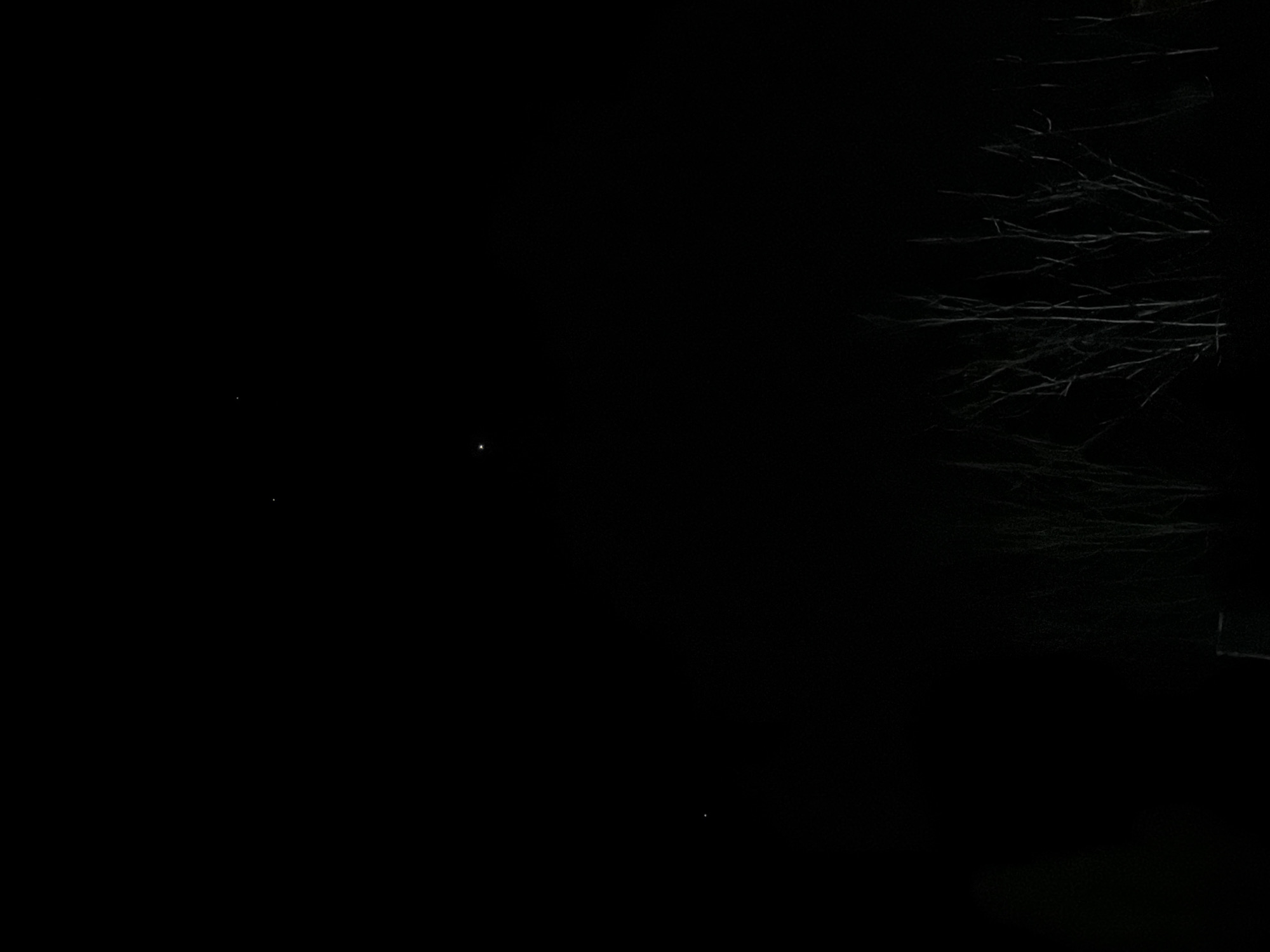 The image captures a dark, nocturnal scene, likely set in Dubovaya, Russia. The primary subjects are bare tree branches, densely clustered and occupying the right side of the frame. These branches appear as intricate, thin, and light-toned lines against the predominantly black background, suggesting they are either covered in frost or ice, or are dimly illuminated in the darkness. The pattern of the branches indicates a winter setting or a period when trees have shed their leaves.
The left and central portions of the image are almost entirely black, creating a sense of deep night. Within this expansive darkness, a few extremely faint, small white dots are discernible, scattered across the left and lower-central areas. These could represent distant stars, very remote artificial lights, or possibly minor photographic artifacts in a low-light capture. There is no visible activity or identifiable human presence. The scene conveys a sense of stillness and cold, characteristic of a winter night landscape. No visible text is present in the image.