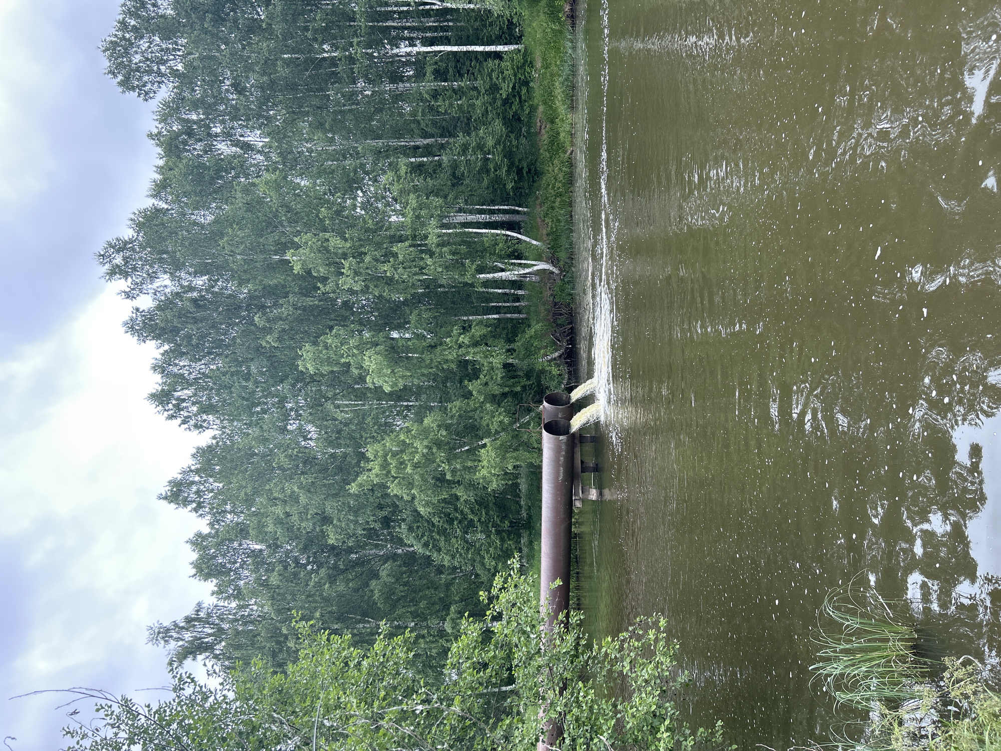 Two large, rusty industrial pipes extend horizontally over a murky green body of water, supported by metal posts. Yellowish liquid is being discharged from both pipes into the water, creating a frothy disturbance on the surface. The pipes are positioned to the left of the frame, with the discharge occurring mid-way across the image. The water reflects the overcast sky and the surrounding lush green foliage of a dense forest that lines the far bank of the water. The forest consists primarily of birch and other deciduous trees, with some evergreen trees interspersed. The sky is cloudy and grey, suggesting an overcast day. The location is Detskii Dom (Bashenino), Russia.