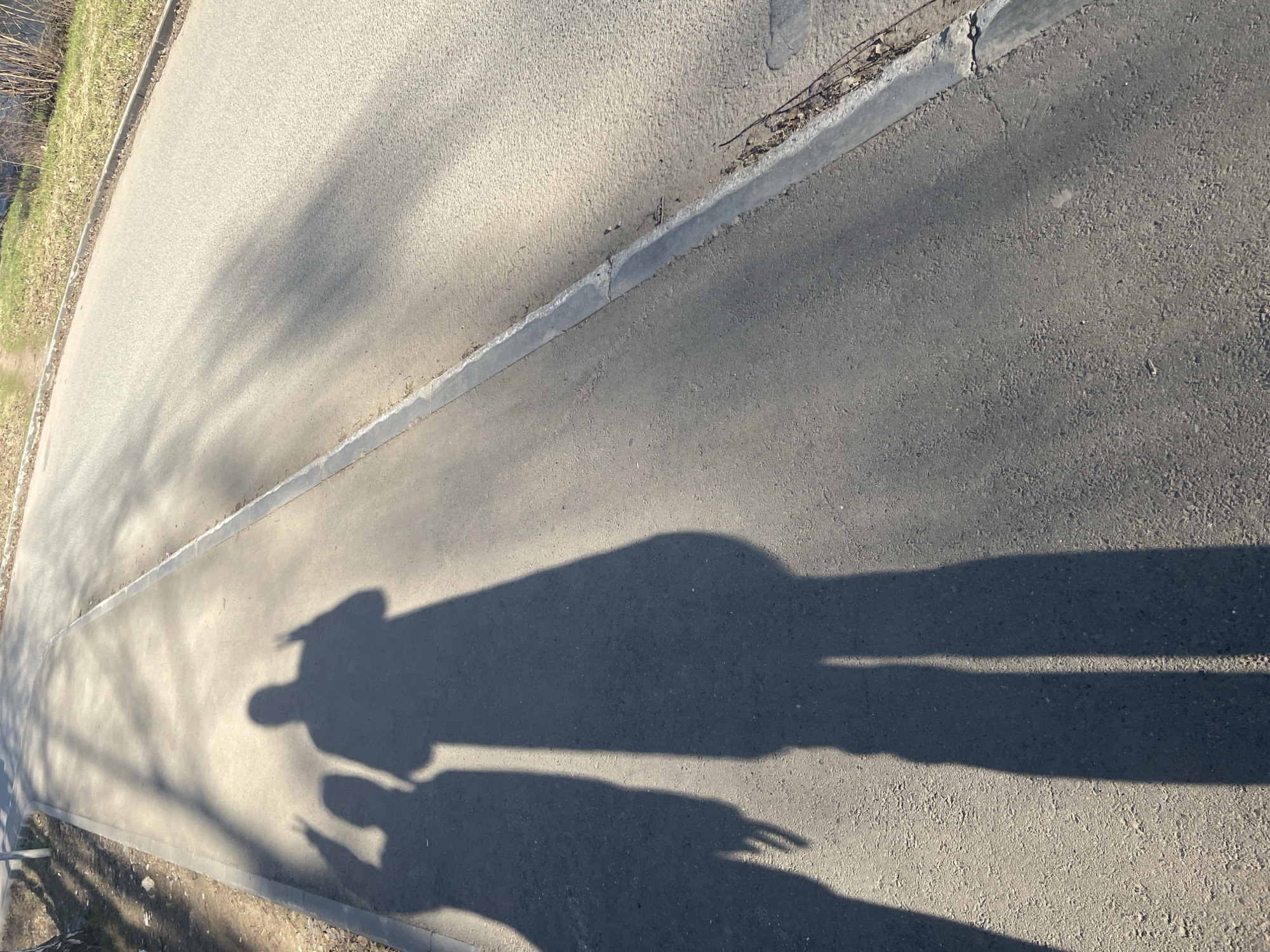 An overhead, slightly angled shot captures an asphalt path bathed in the low, warm light of a sun. The primary subjects are the long, distinct shadows of two people stretched across the path. One shadow, larger and with a clearer silhouette, suggests an adult figure, possibly wearing a hat or hood. Adjacent to it, a smaller shadow, likely that of a child, features a hand raised, making a gesture resembling a V-sign or two fingers extended.
The activity depicted is implied by the shadows: two individuals are walking or standing on the path, with the sun behind them, casting their elongated forms ahead.
Notable details include the time of day, which is either early morning or late afternoon/early evening, indicated by the low sun angle and the length of the shadows. The sharp definition of the shadows suggests clear, sunny weather. The path is made of asphalt, bordered on the left by a concrete curb alongside a strip of dry, light-green grass and sparse, brown vegetation. In some cropped views, a glimpse of a darker area, possibly water, can be seen beyond the grassy edge. Additional dappled shadows from tree branches or leaves are visible on both the asphalt and the grassy area, suggesting trees are nearby. The curb shows minor cracks and some natural debris. There is no visible text in the image. This scene is located in Noviy, Russia.