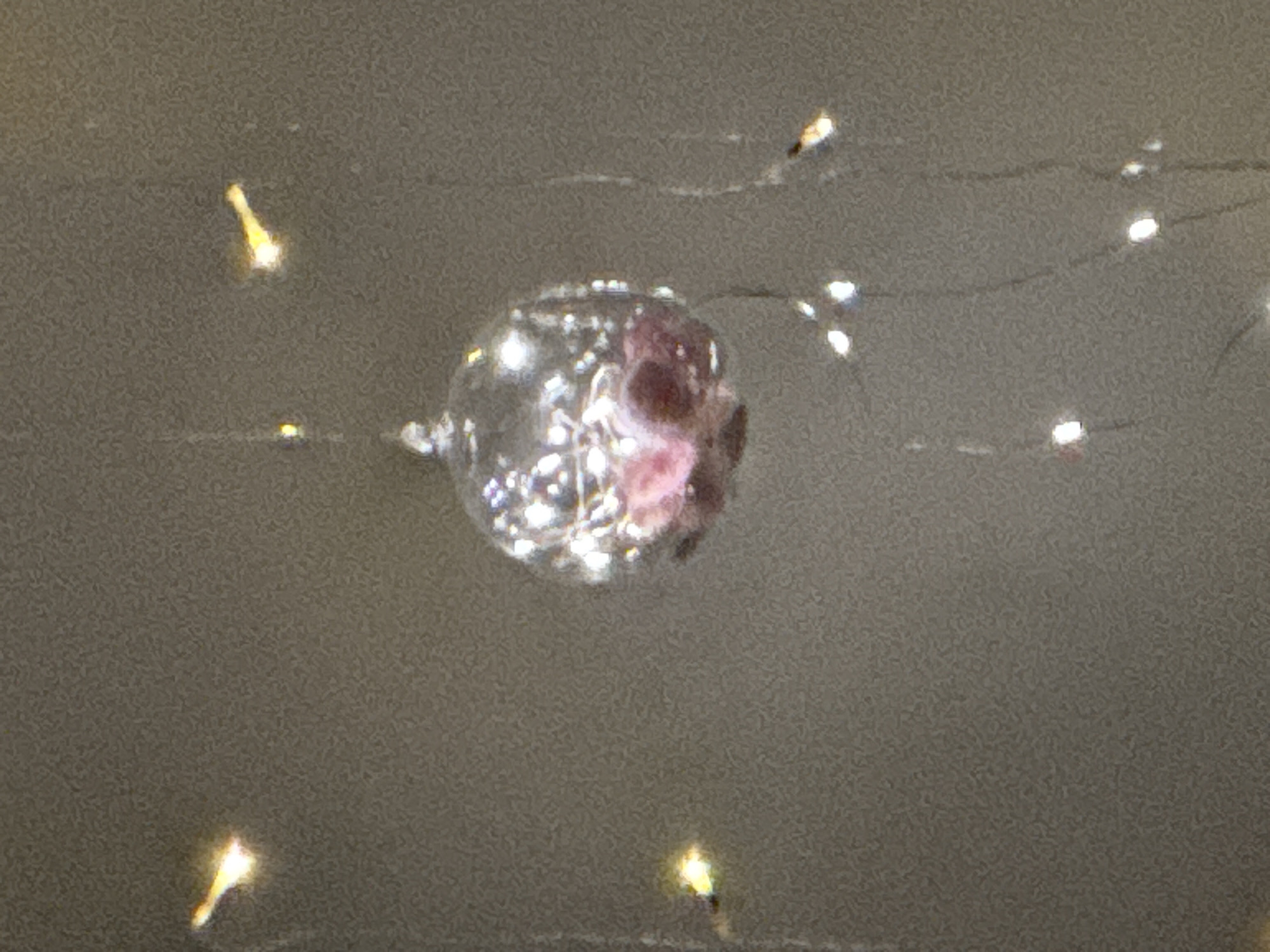 The image shows a blurry, possibly reflective, spherical object suspended in front of a mottled, neutral-colored background. Thin, dark lines, likely wires, run across the background, punctuated by small, bright points of light. The spherical object appears to contain a pinkish-red substance or object within it. The scene is presented as a somewhat out-of-focus, low-resolution capture. There is no information in the provided image that would allow identification of a location in Moscow, Russia.