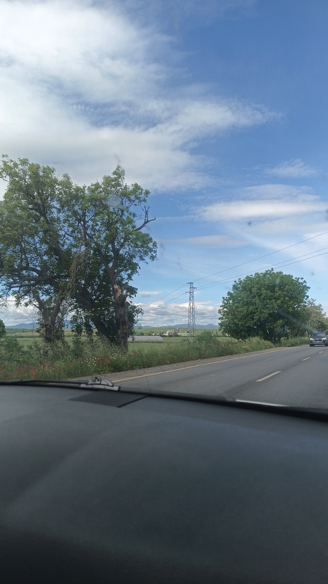 The image shows a view from inside a vehicle driving on a two-lane road in Popovitsa, Bulgaria. The road is asphalt and has a white line marking the lanes. On the left side of the road is a field with green grass and red poppies, bordered by trees, including a large, old tree with exposed branches. An electrical transmission tower is visible in the distance. Beyond the field are structures resembling farm buildings and distant mountains. On the right side of the road, there is another tree and a dark-colored SUV driving in the opposite direction. The sky is blue with scattered white clouds. The dashboard of the vehicle is visible in the foreground.