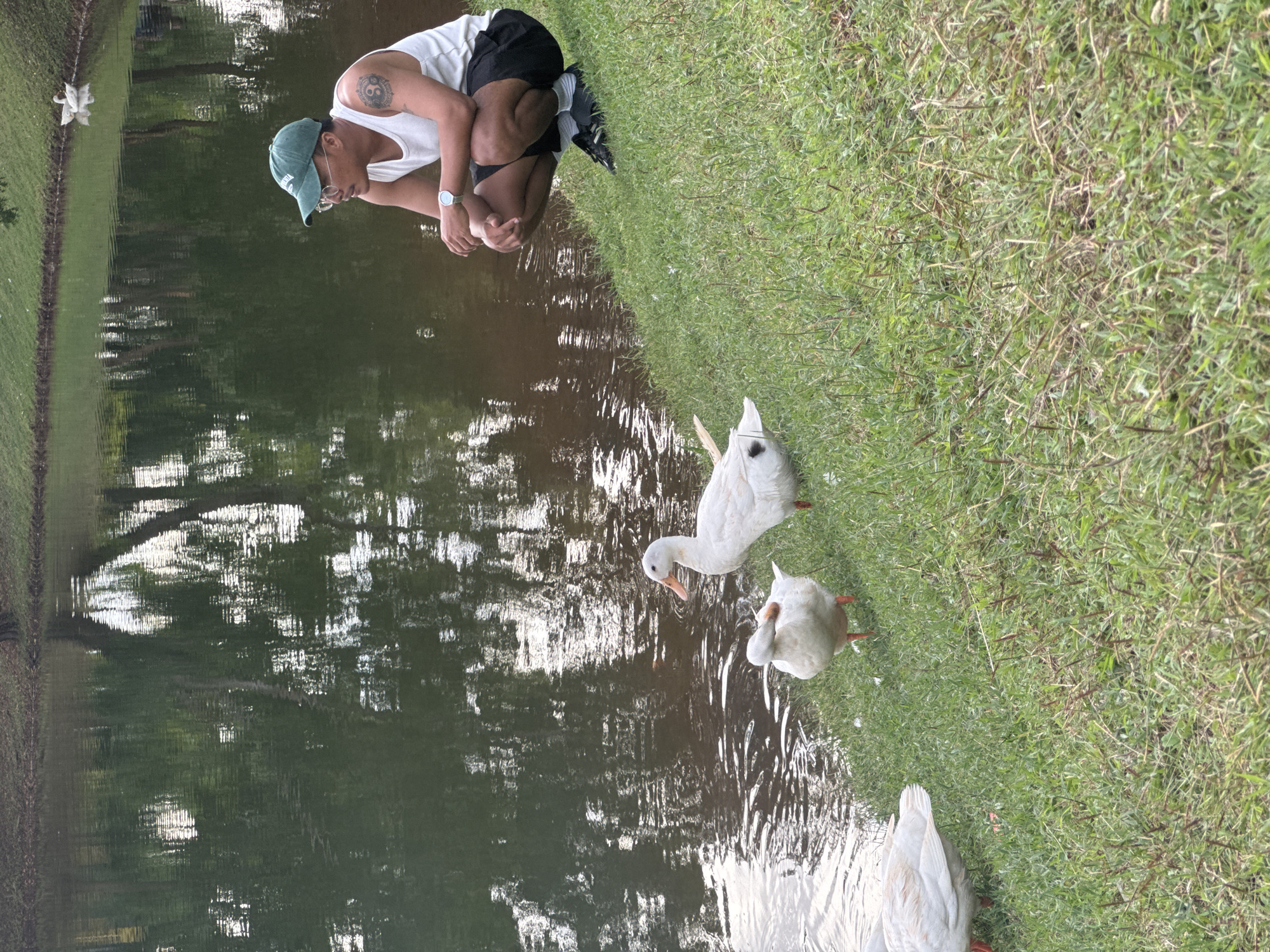 A man wearing a white tank top, black shorts, and a green baseball cap is squatting near the edge of a body of water, possibly a pond or lake. He is looking down at three white ducks which are close to the water's edge, partially on the grassy bank. The setting appears to be outdoors, with a reflection of trees visible on the water surface. The exact location in Kuta Selatan, Indonesia is not discernible from the image.