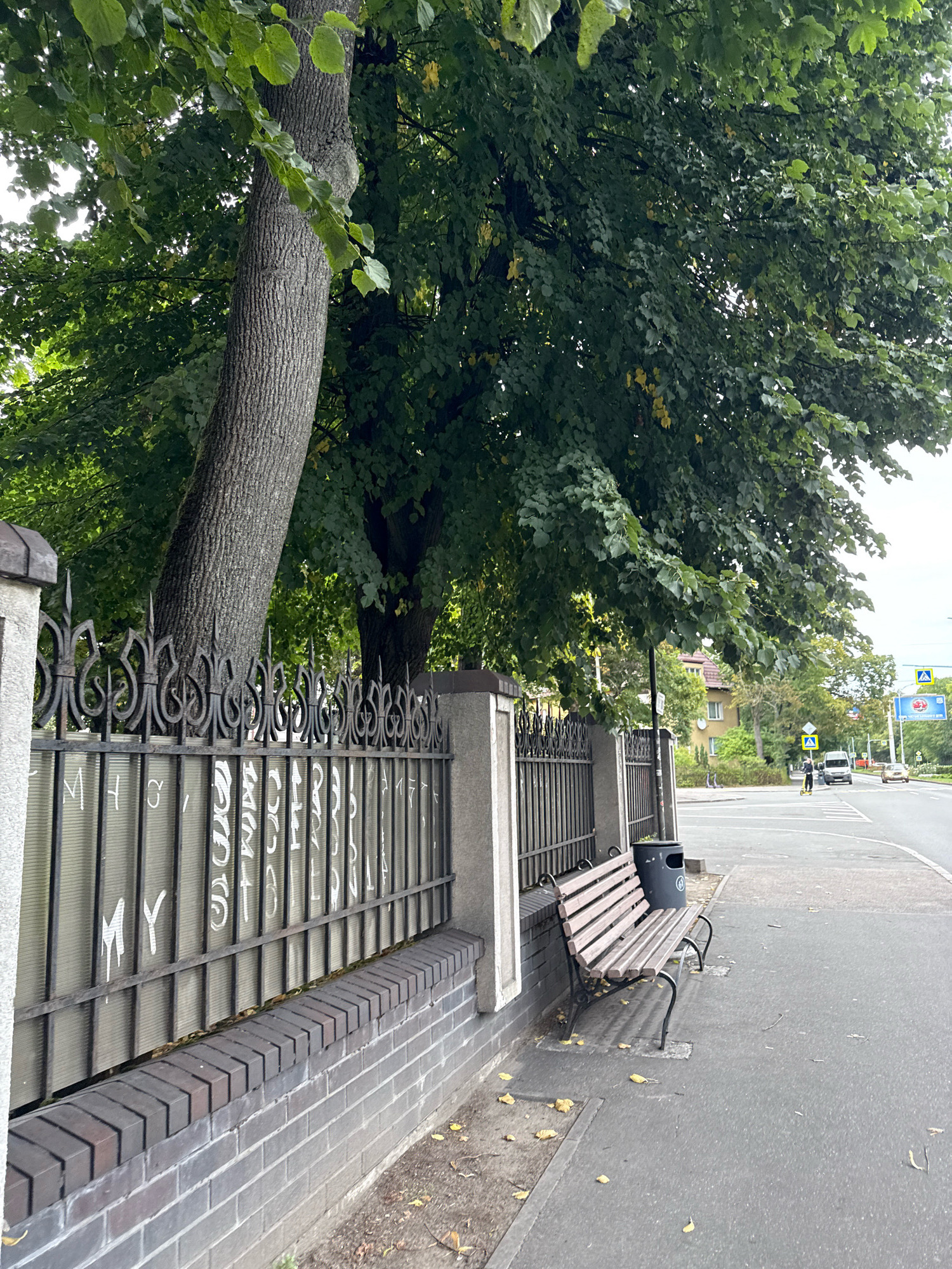 The image depicts a street scene in Kaliningrad, Russia, focusing on a pedestrian sidewalk adjacent to a decorative metal fence. The fence is set on a brick base and is partially obscured by a large tree with dense green foliage. On the sidewalk, a wooden bench and a dark-colored trash receptacle are situated near the fence. Beyond the fence, a paved road is visible, with several vehicles, including cars and a scooter, in motion. Traffic signals and road signs are present, indicating a typical urban environment. The overall atmosphere is overcast, suggesting a daytime scene under a cloudy sky.
