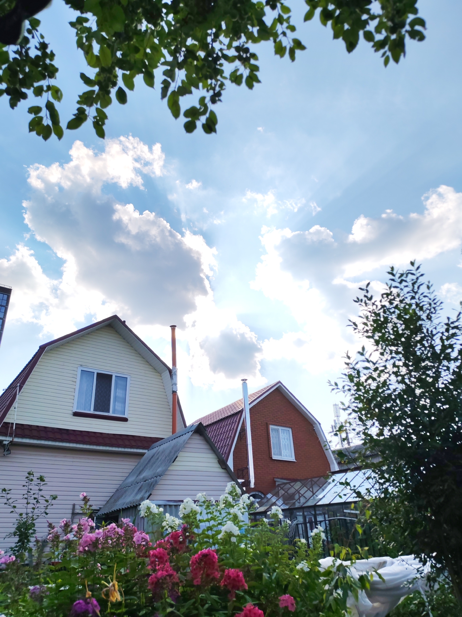This is a low-angle, eye-level, outdoor, medium shot of houses and a garden in Pervomaysky, Russia. In the foreground, a variety of colorful flowers, including pink and white phlox, bloom. Behind the flowers, a beige and pink house with a red roof is visible. To the right of this house, a red brick house with a red roof and a greenhouse attached is seen. The sky is a vibrant blue with fluffy white clouds, and sunbeams are visible through the clouds. Lush green trees frame the top and right side of the image. The scene conveys a sense of tranquility and natural beauty.