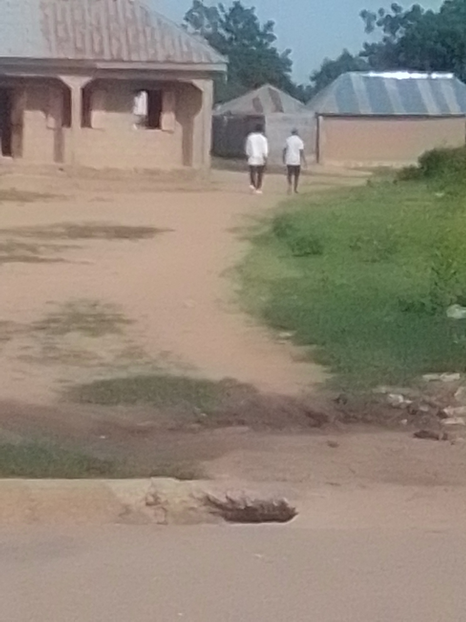 In Talasse, Nigeria, two individuals walk away from the camera down a dirt path. They are both wearing white shirts and dark shorts or pants. The person on the left has white sneakers, while the person on the right wears dark shoes. To the left of the path is a mud-brick building with a corrugated metal roof, featuring a covered porch supported by pillars. To the right of the path, grass grows alongside another building with a corrugated metal roof. Trees are visible in the background. The ground in the foreground appears to be a paved surface, possibly a road, with a section of rough, raised earth or debris. The overall lighting suggests it is daytime.