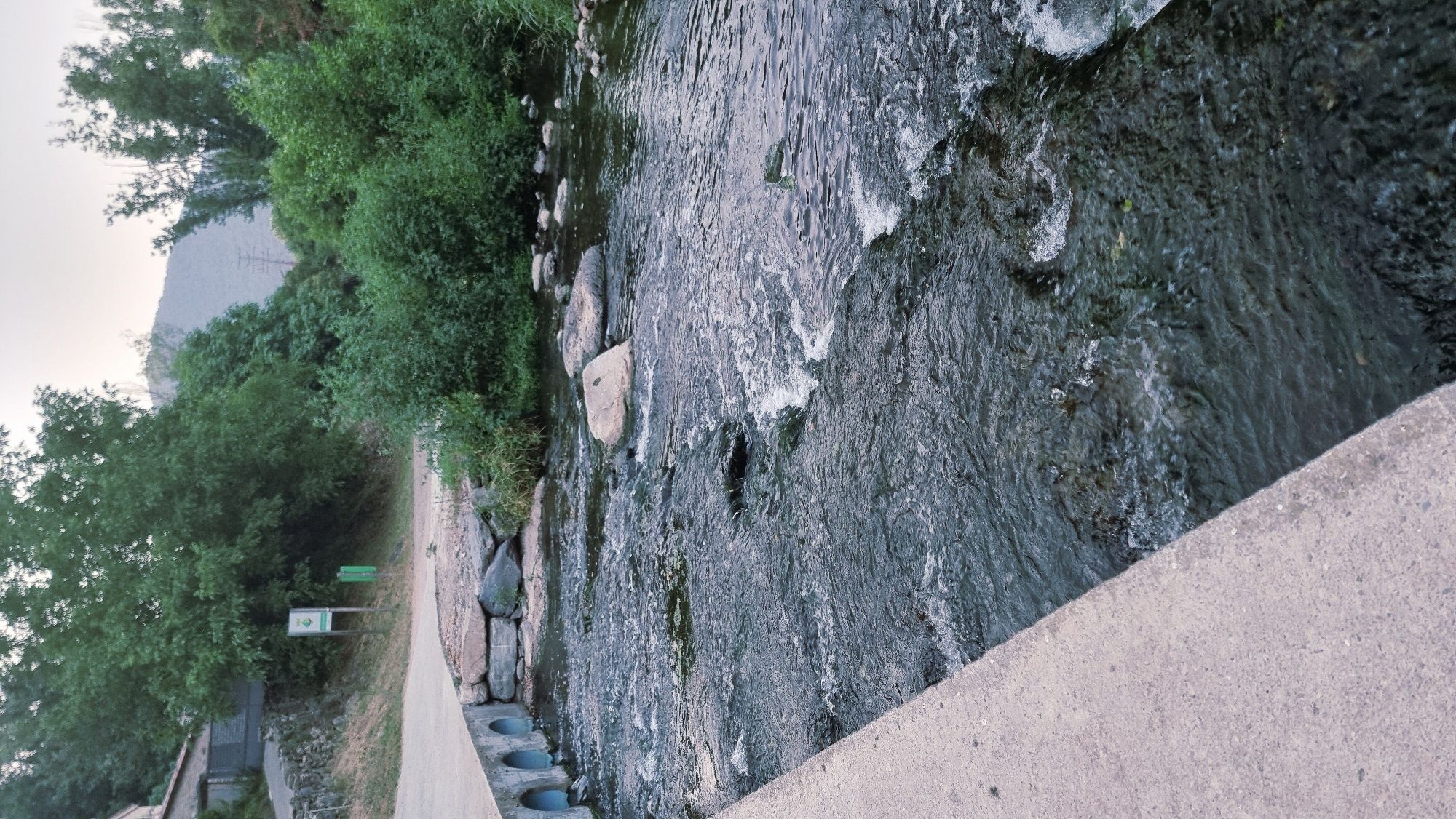The image depicts a view of a shallow river flowing from right to left, with a concrete embankment on the left side. The riverbed is visible through the clear water and is composed of dark rocks and pebbles. Several larger, light-colored rocks are scattered in the river. On the left bank, a concrete structure with arched openings extends into the water, suggesting a small bridge or culvert. Beyond the river, dense green vegetation and trees line the banks. In the background, a road curves uphill, with a building partially visible on the left and a signpost with green markings. Further in the distance, hills and a hazy sky are visible. The scene appears to be a natural setting within or near a rural area, possibly indicating a location in La Vall de Bianya, Spain, given the presence of lush greenery and a mountainous backdrop often associated with the region. There are no people or animals visible in the image. The overall impression is one of a tranquil, natural environment.