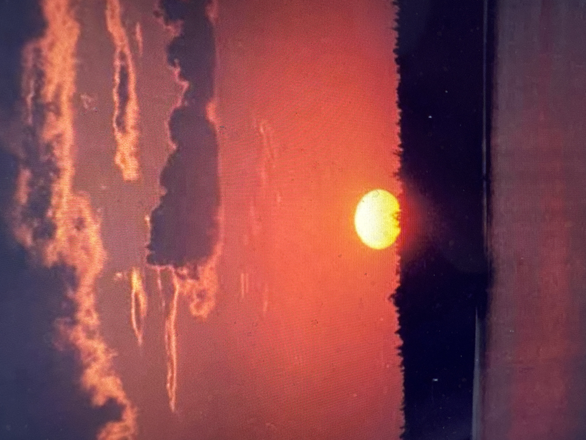 An outdoor, medium-wide shot captures a sunset over a body of water. The sun, a bright yellow orb, is positioned just above the horizon, partially obscured by a dark line of trees that runs horizontally across the middle of the frame. The sky above is a vibrant gradient of reds and oranges, with scattered clouds tinged with pink and purple. The water in the foreground reflects the colors of the sky, creating a rippling expanse of warm hues. The overall impression is one of a tranquil, natural landscape at dusk.