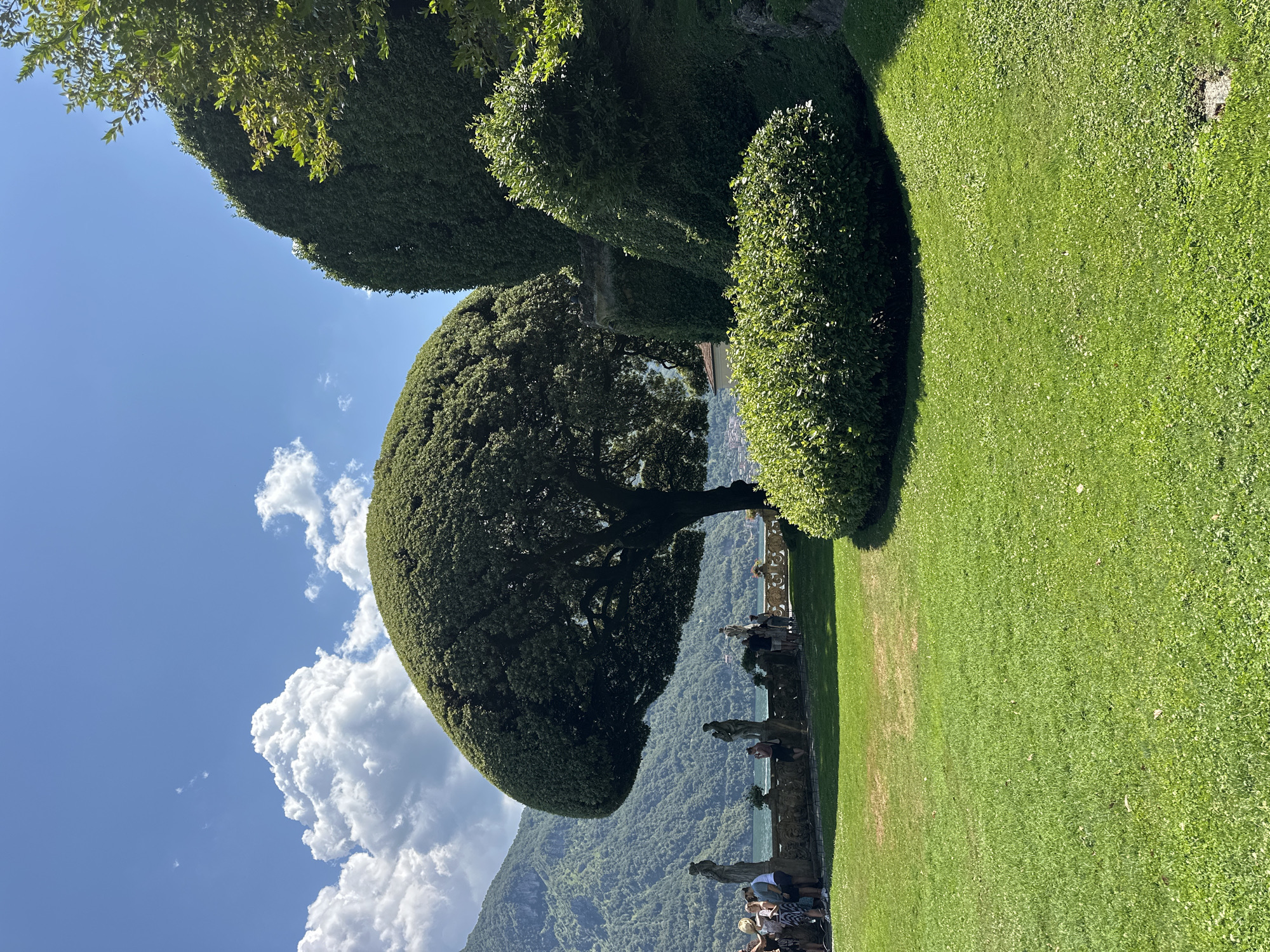 A man-made, perfectly rounded evergreen tree stands prominently in a manicured garden. To its left, a stone balustrade runs along the edge of a body of water, likely Lake Como, with steep, tree-covered mountains rising in the background under a bright blue sky with fluffy white clouds. Several people are gathered near the balustrade, some observing the view and others posing for photographs. Statues are interspersed along the balustrade. In the foreground, a vibrant green lawn slopes gently towards the viewer, with a meticulously trimmed evergreen bush in the mid-ground. The scene captures a serene day at a picturesque Italian villa garden.