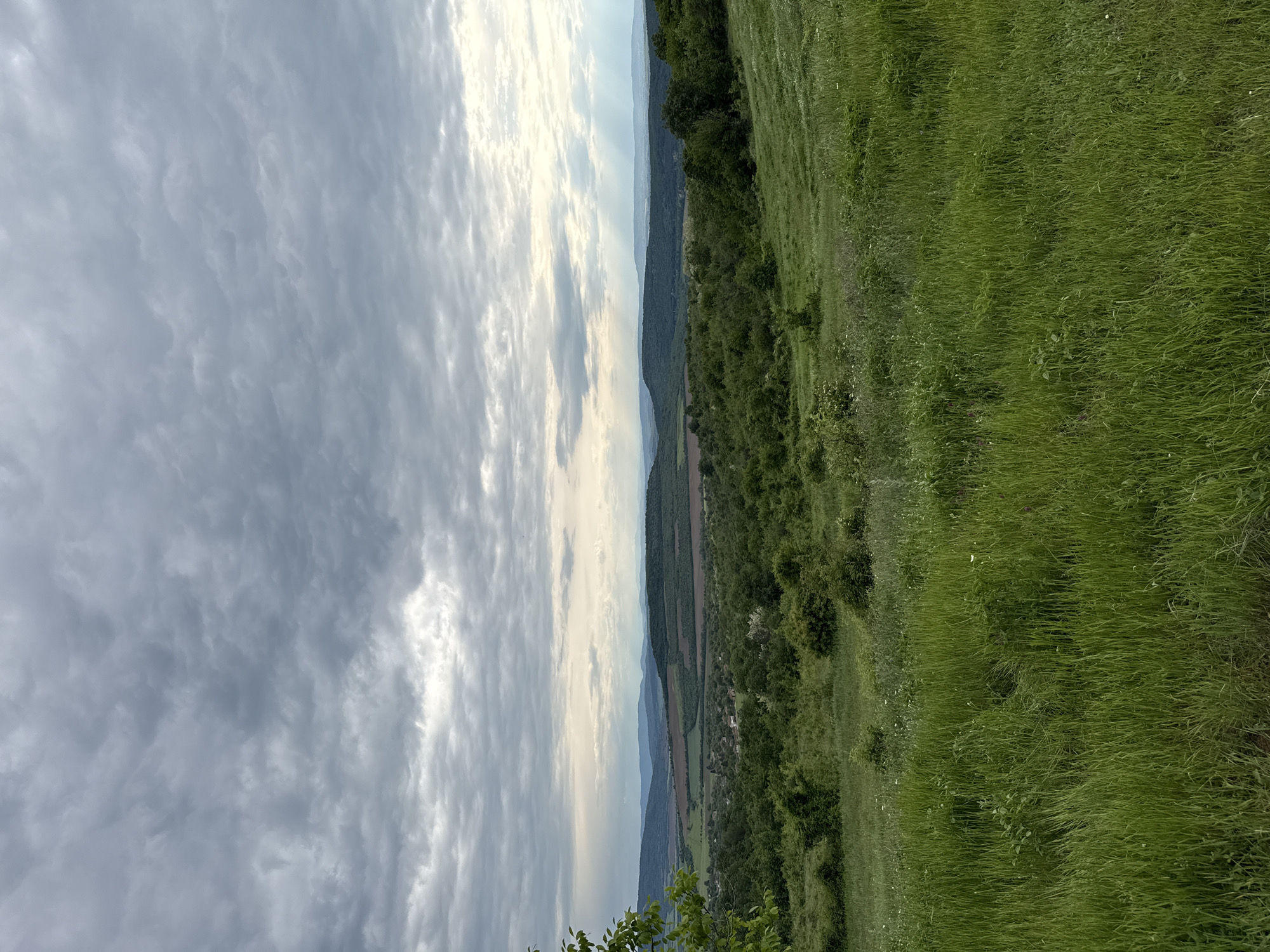 The image depicts a landscape view from Strazhitsa, Bulgaria. The sky is predominantly covered with gray and white clouds, indicating overcast conditions. Below the sky is a panoramic view that includes a series of hills and valleys covered in lush green vegetation. Patches of trees and grassy fields are interspersed throughout the scene. In the foreground, there is tall green grass.