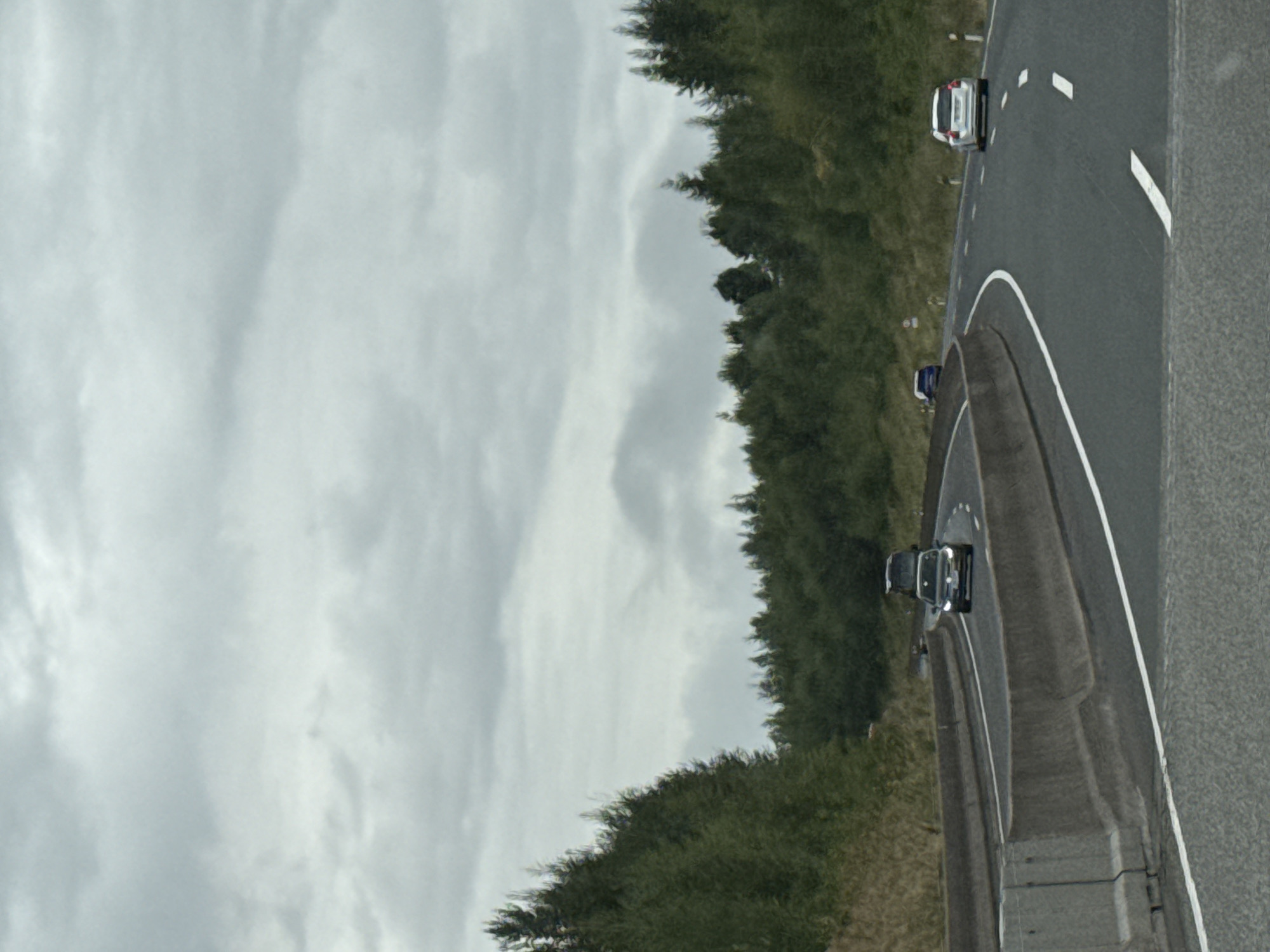The image shows a highway with a cloudy sky overhead. The road curves to the right, bordered by concrete barriers and dense green trees on either side. Several cars are visible on the road: a dark-colored car is in the foreground on the right lane, a dark SUV is ahead of it in the left lane, and a light-colored SUV is further ahead in the right lane. In the distance, on the left side of the road, a blue car is visible. The overall scene suggests a typical highway environment in a forested area under overcast conditions. The location is identified as Bad Lauterberg im Harz, Germany.