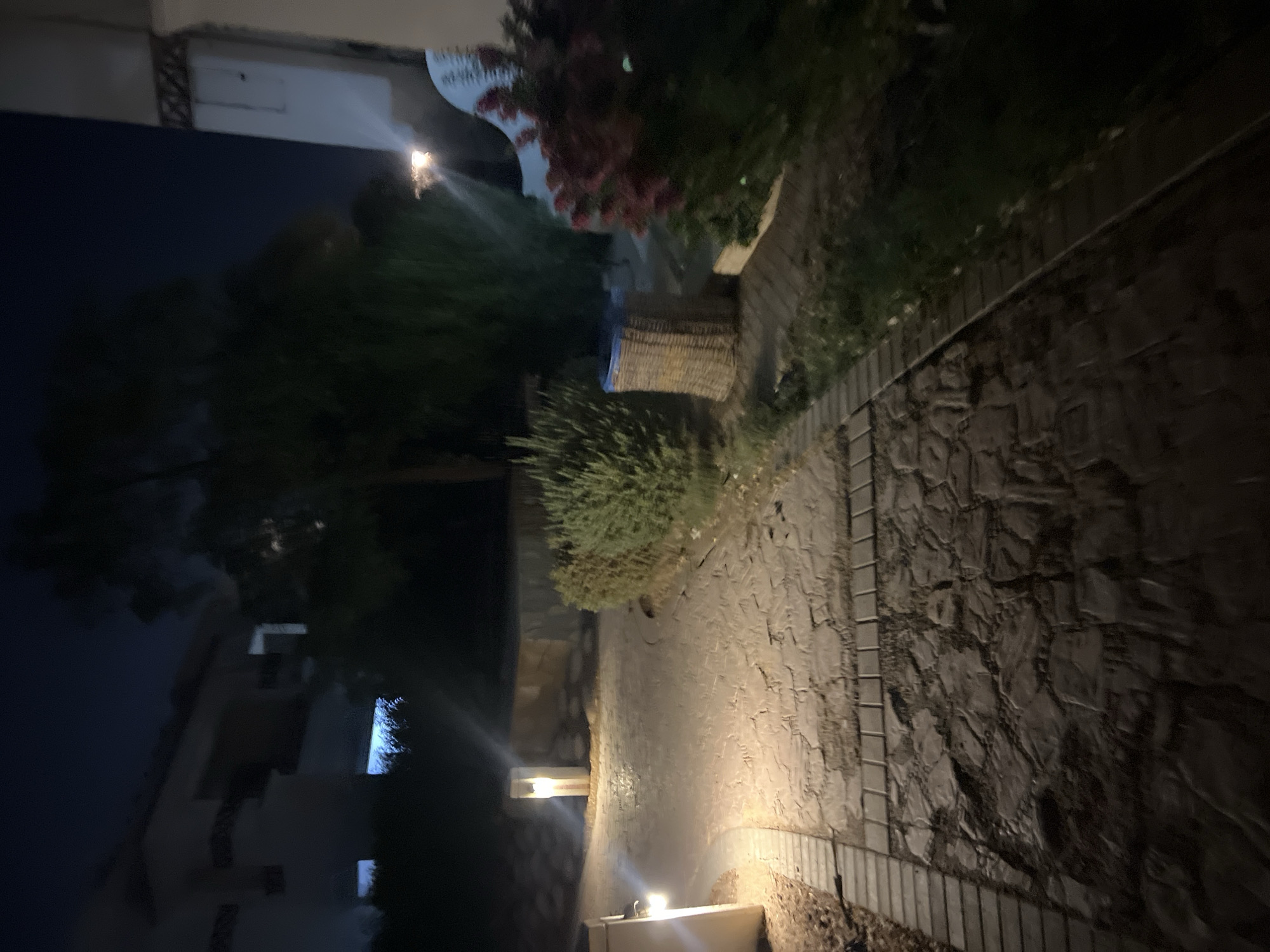 A dimly lit paved pathway, possibly in Sharm El Sheikh, Egypt, curves through a landscape with sparse vegetation and architectural elements. The pathway is constructed from irregular stone paving bordered by smaller rectangular bricks. Two outdoor lamps illuminate portions of the path. To the left, a building with illuminated windows is visible, partially obscured by darkness and foliage. To the right, a dense green shrub borders the path, and further back, a woven basket-like object sits near a tree. A portion of a white structure with a patterned surface is also visible in the background to the right. The scene is captured at night, with the sky appearing dark blue.