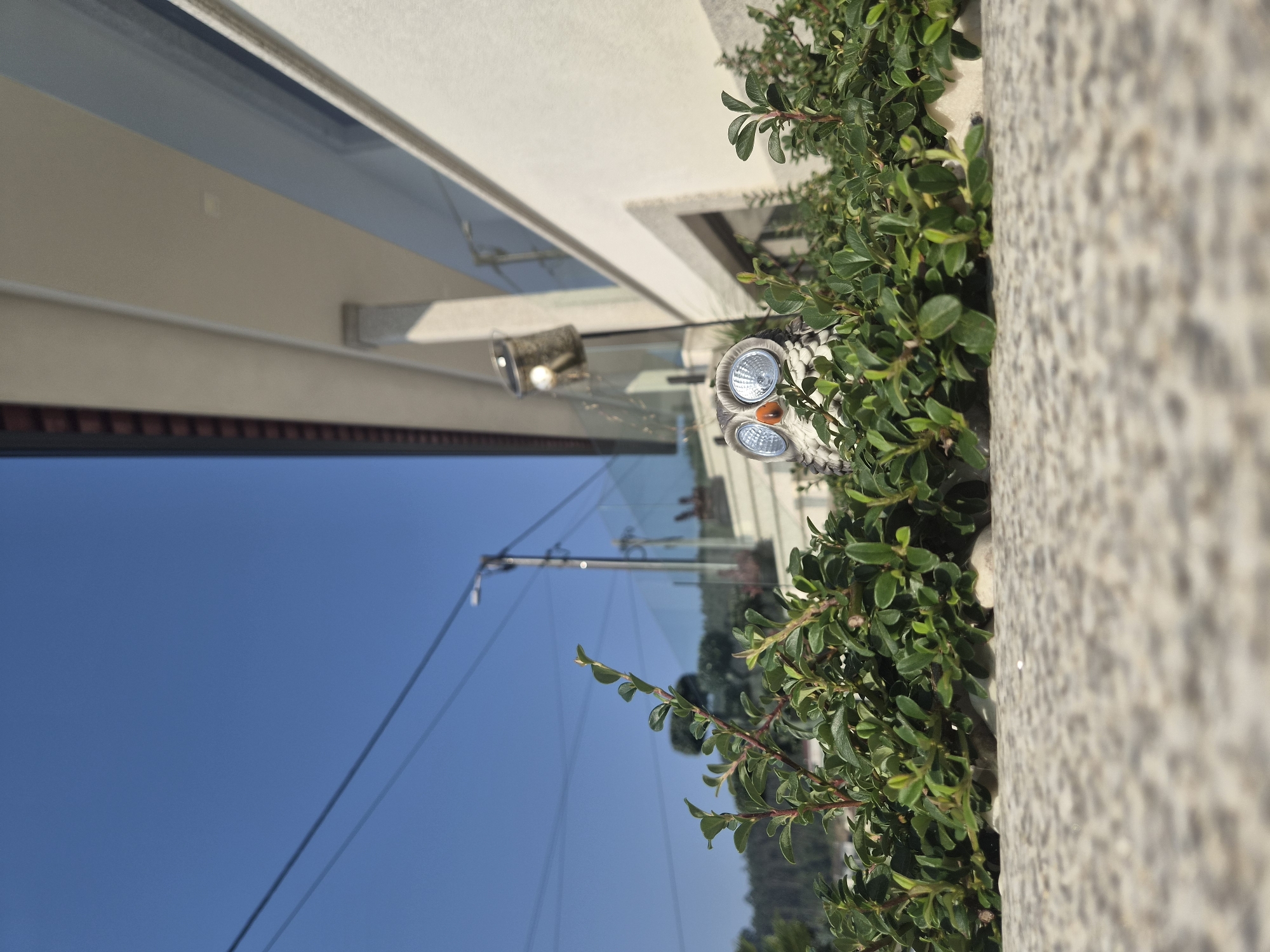 A low-angle, eye-level shot captures a ceramic owl statue peeking from behind lush green bushes. The owl, with its white and grey speckled body, large reflective silver eyes, and an orange beak, is the central subject. The foreground is dominated by a textured, speckled grey stone surface. Behind the owl and bushes, a modern building with white walls and a dark-tiled roof is visible. The sky is a clear, bright blue. Power lines stretch across the sky, and a street lamp stands in the background. The scene appears to be set in an outdoor area, possibly a garden or patio, in Barcelos, Portugal.