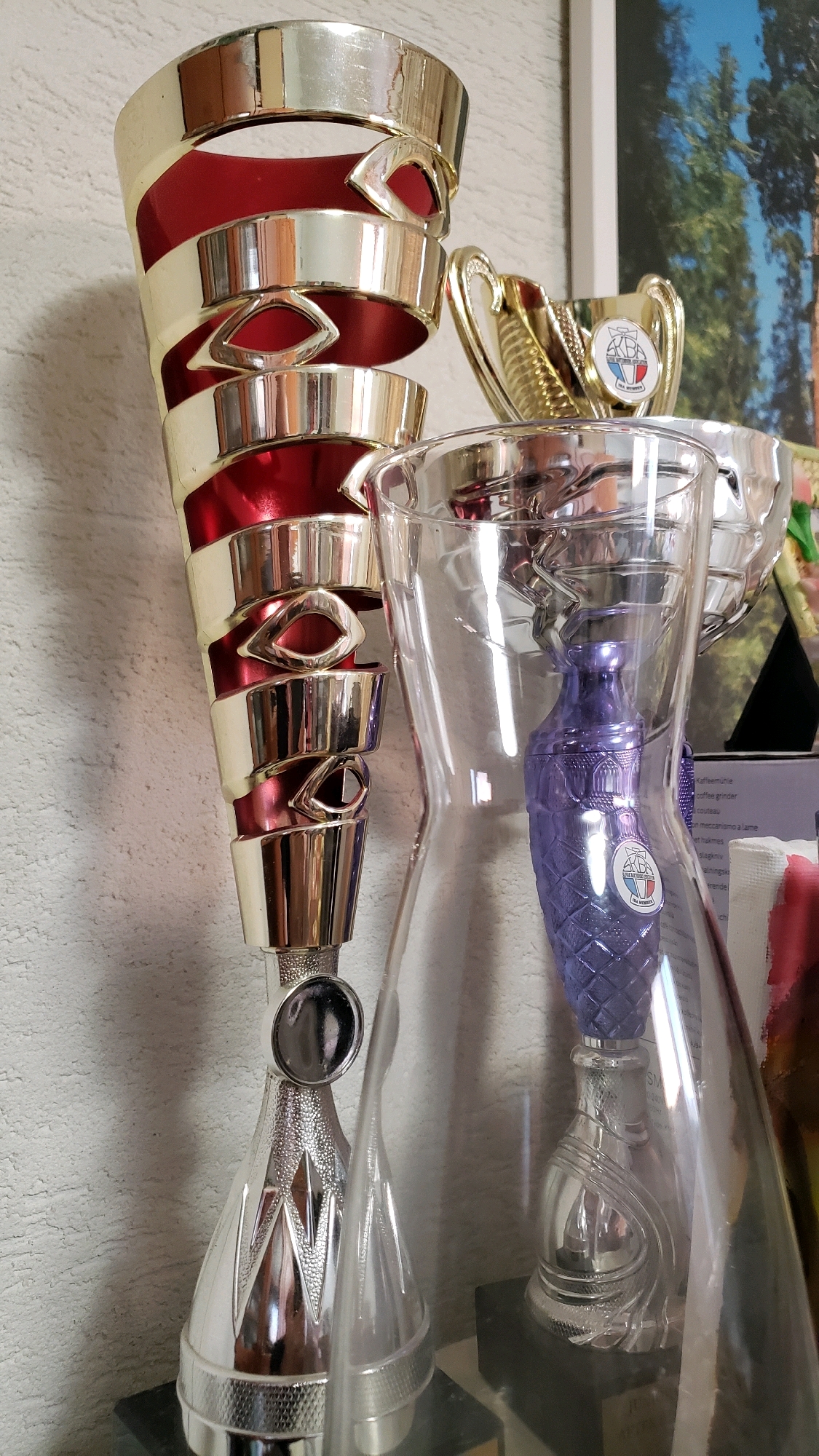 A close-up, eye-level, indoor shot captures a collection of trophies. In the foreground, a large, clear glass vase-shaped trophy contains a smaller, ornate purple object with a textured surface. To the left of the vase, a tall, multi-tiered trophy with gold and red accents stands prominently. Further to the right, a smaller gold trophy with handles and a circular emblem is visible. The background is out of focus, but appears to be a wall and a framed picture of trees. The lighting is bright, casting reflections on the trophies. The scene is static. No people are present. The image was taken at an unknown location in Prešov, Slovakia.
