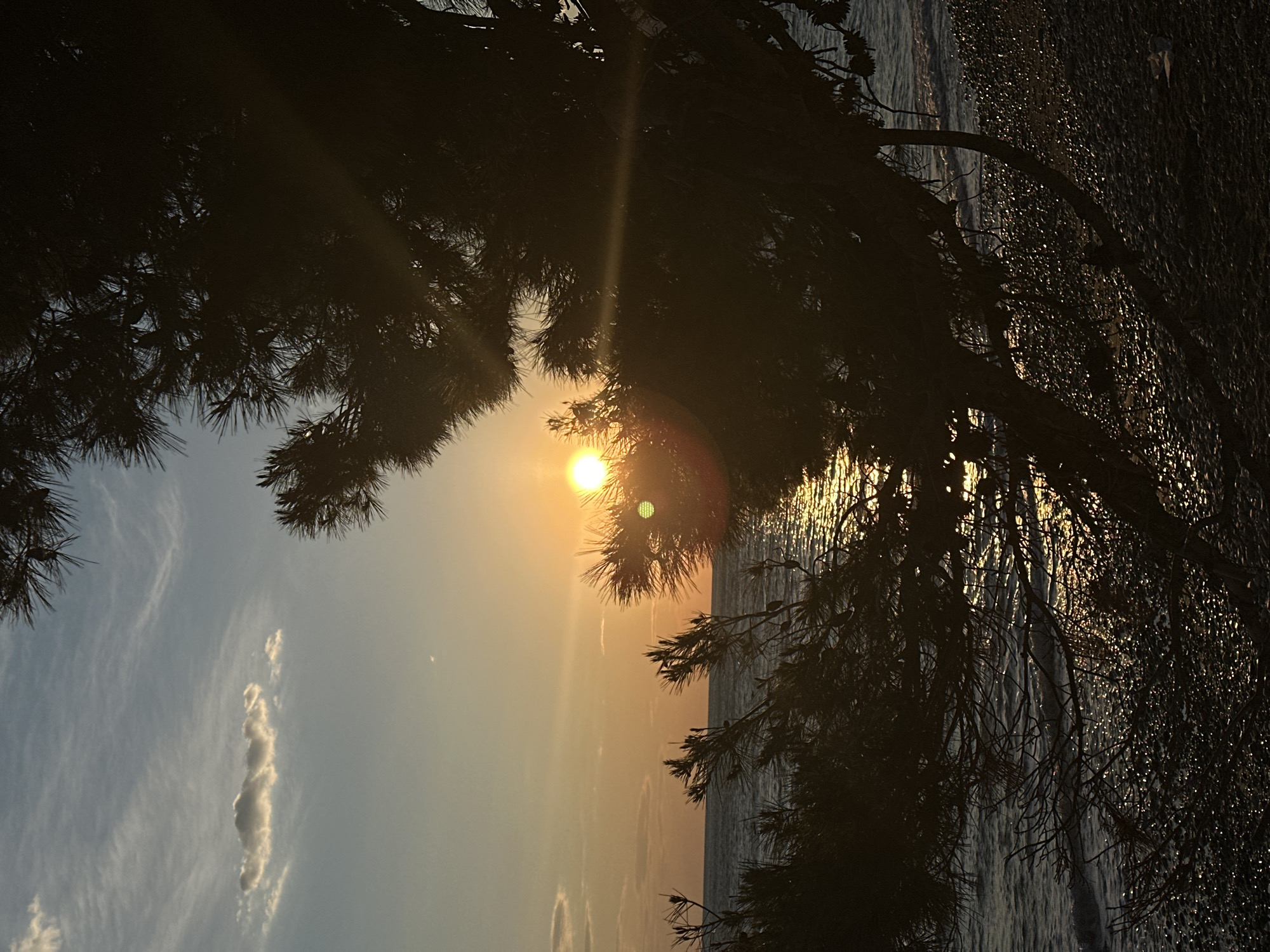 A serene landscape unfolds, bathed in the warm hues of a sunset, likely captured in Šušanj, Montenegro, given the coastal setting. The silhouette of evergreen trees frames the view, their dark branches reaching out against the sky. The sun, a radiant orb, casts a brilliant light that reflects on the water's surface, creating a shimmering effect. The sky transitions from a soft blue on the left to an orange gradient near the horizon. A few scattered clouds drift lazily in the sky. The sea, reflecting the colors of the sky, appears calm and vast. The image captures a tranquil moment where the natural elements of the sea, sky, and trees harmonize under the light of the setting sun.