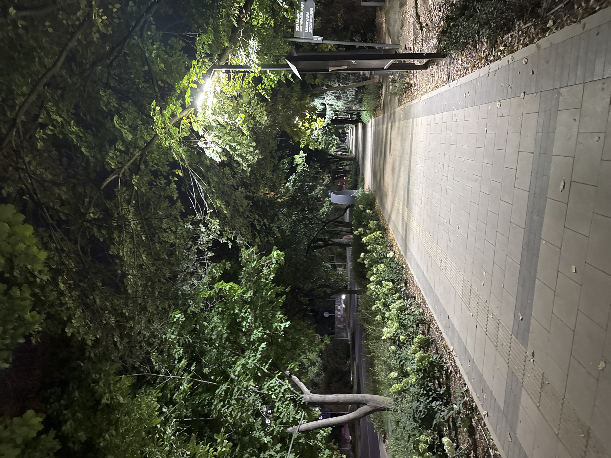 The image depicts a pedestrian walkway at night in Almaty, Kazakhstan, likely within a park or tree-lined avenue. A modern, light-colored paved path runs into the distance, flanked by lush green trees with leaves illuminated by streetlights. On the left side of the path, there are bushes with small, light-colored flowers and trees. On the right side, a dark-colored signpost with Russian text is visible, indicating directions. The sky is dark, suggesting nighttime. There are no visible people in the immediate foreground, but a few distant figures can be discerned further down the path, appearing as silhouettes. The overall impression is a peaceful, well-maintained urban outdoor space illuminated for evening use.