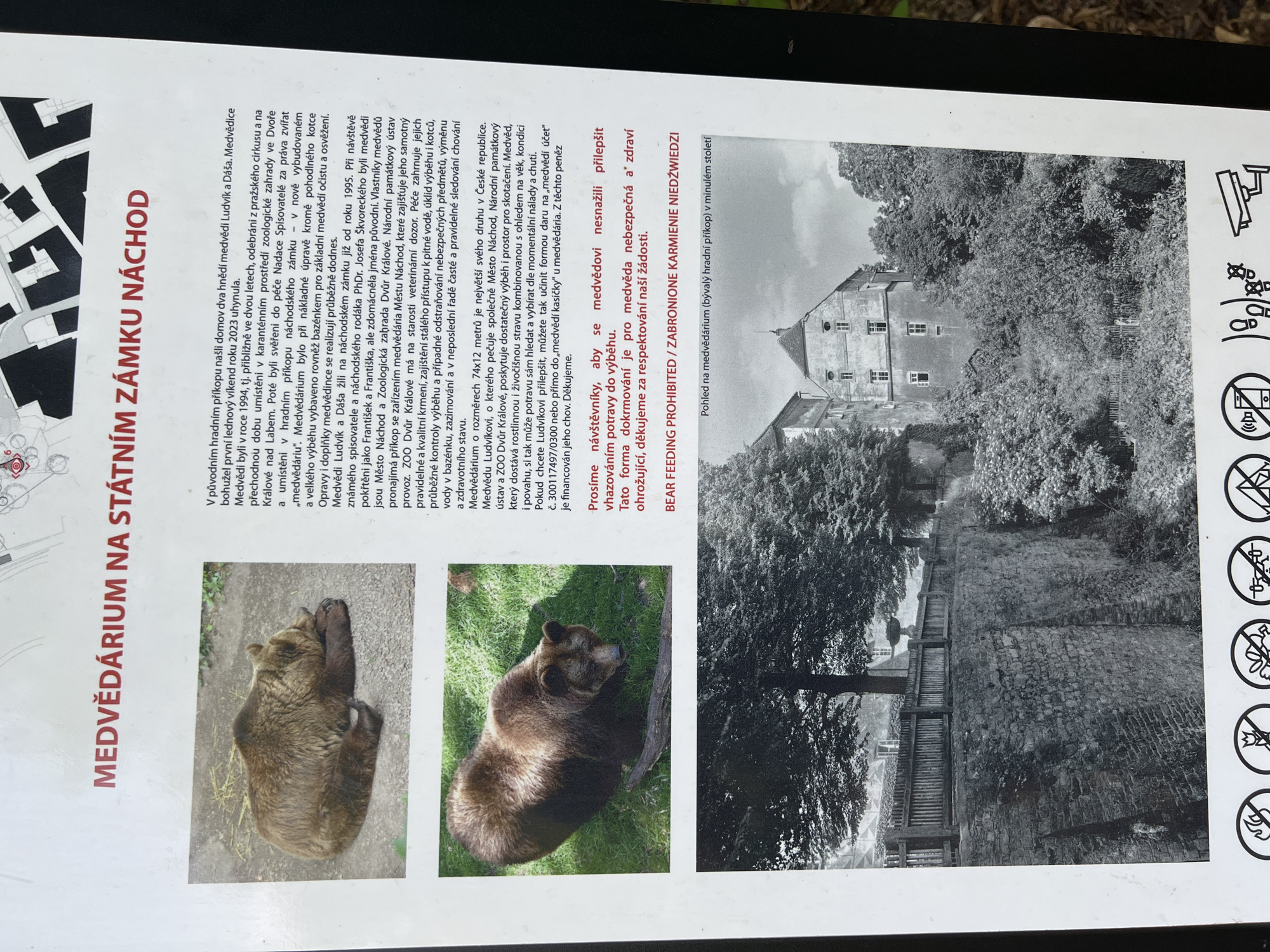 The image displays an informational sign about a bear enclosure, referred to as "Medvědárium," at the Náchod Castle in Náchod, Czechia. The sign features text in Czech and images of brown bears, along with a historical photograph of the bear enclosure. The text describes the history and purpose of the bear enclosure, mentioning two bears, Ludvík and Dáša, who were residents. It also provides information about the care and feeding of the bears, and requests visitors not to feed them. The bottom section of the sign includes pictograms indicating prohibited activities.