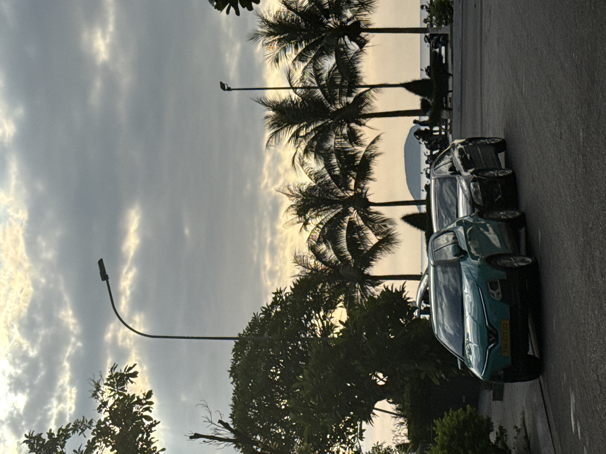 A low-angle, full shot captures a road in Bac Nha Trang Ward, Vietnam, under a cloudy sky at dusk. In the foreground, a turquoise electric vehicle is parked on the asphalt, its headlights off. Behind it, a black sedan is also parked. Beyond the vehicles, a row of palm trees and other foliage line the scene. In the background, a distant island is visible in the sea, with several motorcycles parked along the coast. The lighting is dim, with rays of sunlight breaking through the clouds.