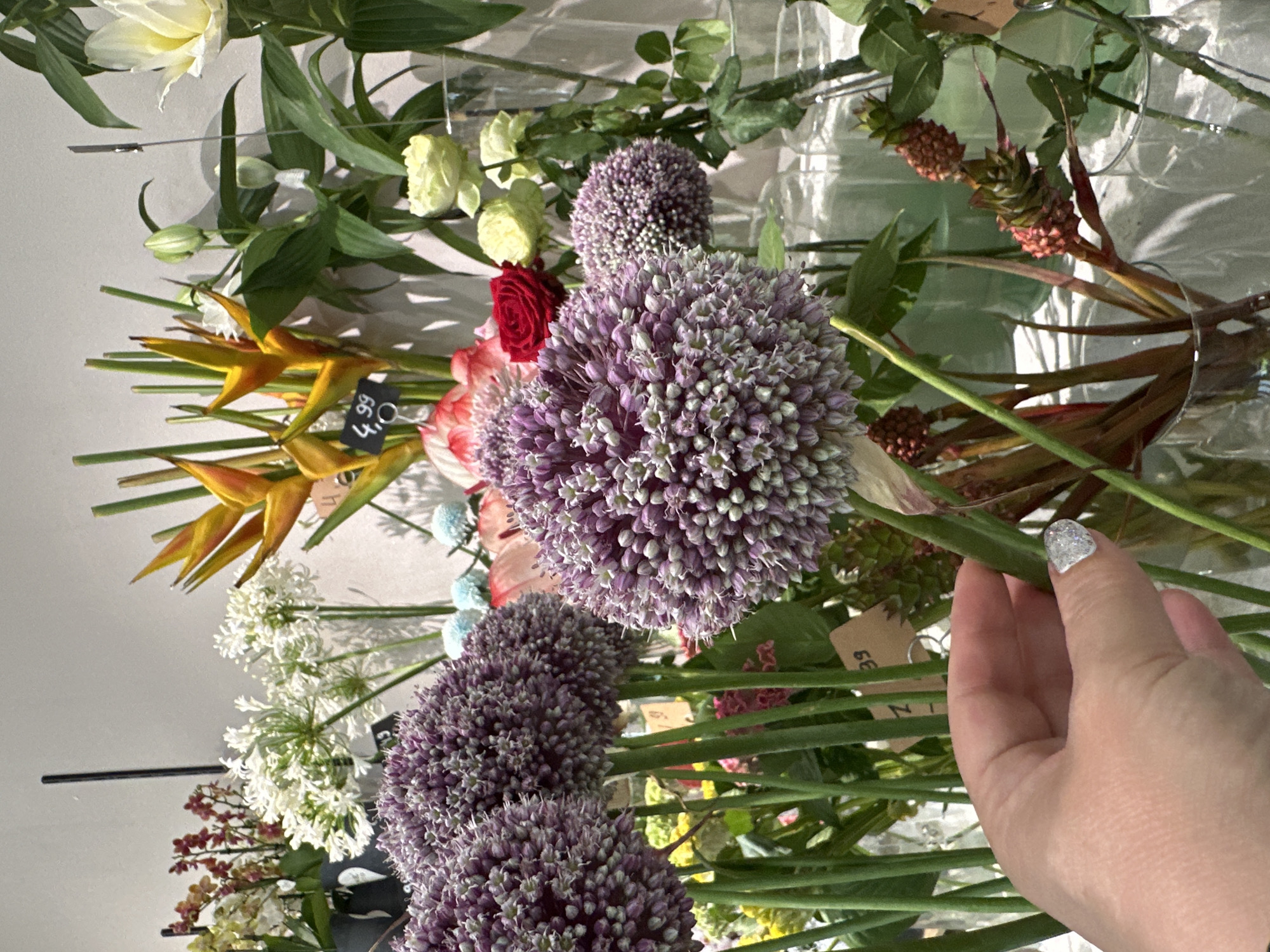 A close-up shot displays a diverse arrangement of flowers at a flower shop in Krefeld, Germany. Dominating the foreground are large, spherical purple allium flowers with a textured appearance. To the left of these, a hand with glittery nail polish is seen gently touching a green stem. Behind the alliums, white Queen Anne's lace and vibrant orange and yellow heliconia flowers add height and color. In the mid-ground, a deep red rose stands out amongst pale yellow roses and pale pink flowers. The background features more greenery and the reflective surfaces of vases, typical of a retail floral display. A price tag reading "4,99" is visible on one of the heliconia stems. The lighting suggests an indoor environment, likely a well-lit shop.