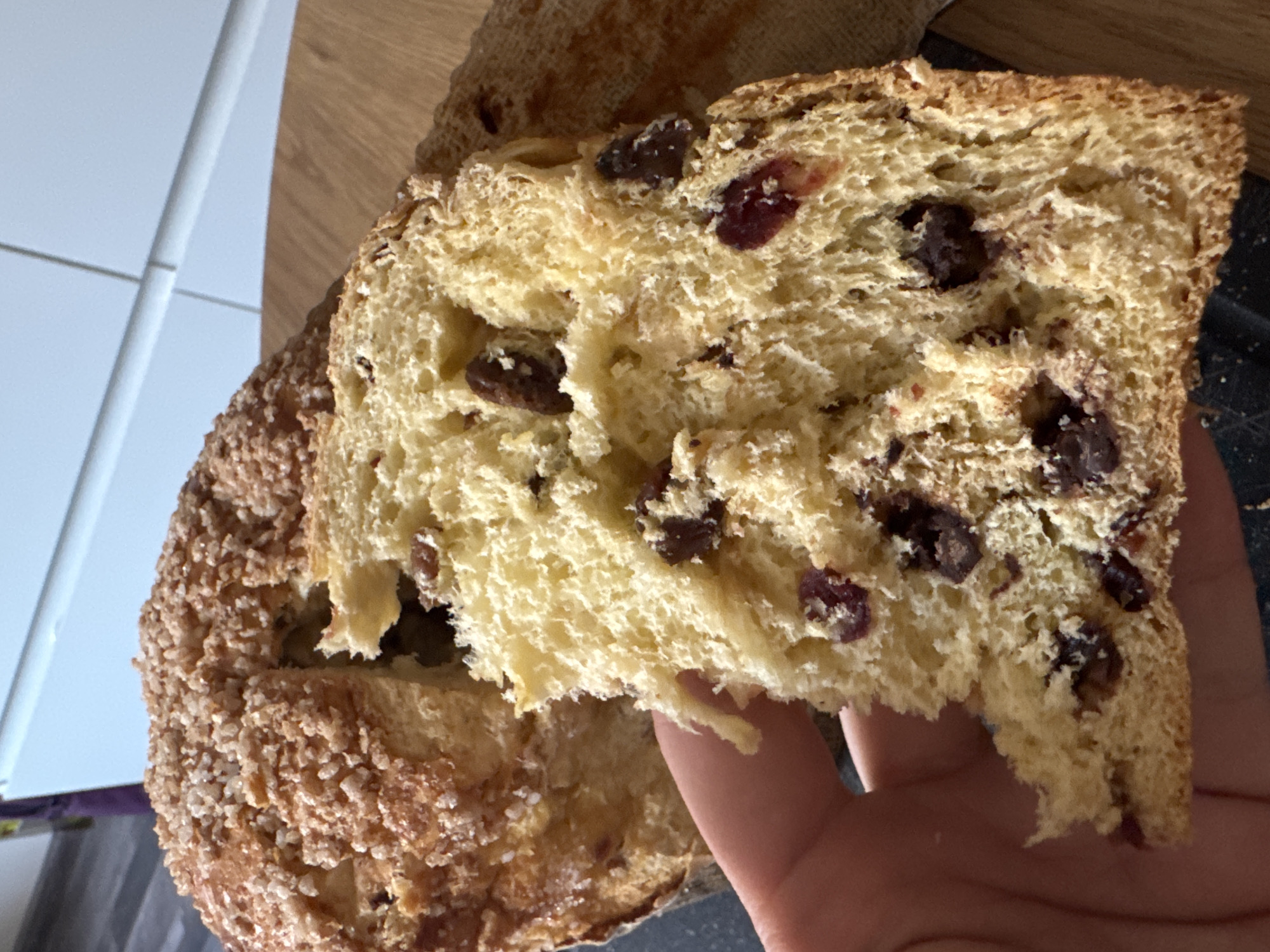 A close-up shot depicts a slice of panettone, a type of sweet bread loaf originally from Milan, Italy, being held in a hand. The bread has a golden-yellow color and contains dark raisins and red cranberries. The exterior of the remaining loaf is textured with granulated sugar. The presence of panettone implies a celebratory occasion, likely around Christmas or New Year's. The location cannot be confirmed as Varna, Bulgaria, based solely on the image.