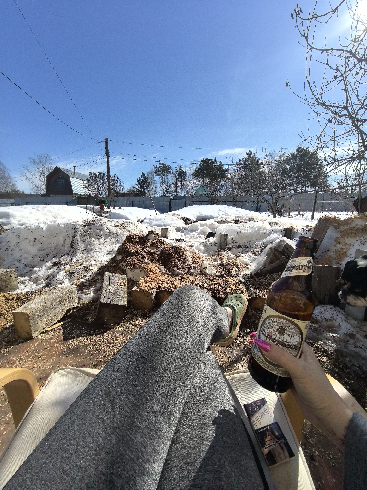 The image depicts an outdoor scene in what appears to be a rural or semi-rural area of Noviy, Russia, under a clear, bright blue sky with direct sunlight, indicative of a late winter or early spring day. The vantage point is from a seated position, looking forward and slightly downward.
In the immediate foreground, the legs of an individual wearing gray athletic pants or leggings are visible, extending forward. The left foot, partially visible, wears a green Crocs-style sandal. The individual's right hand holds a brown glass bottle with a label reading "Сарыарқа" (Saryarka) and "Традиционное" (Traditional). The hand displays long, pointed, hot pink fingernails. A pack of Chesterfield cigarettes rests on a light-colored chair cushion to the right of the left leg.
The midground features a ground covered with patches of melting snow, exposed brown earth, and significant accumulations of wood shavings and sawdust. Several rough-hewn wooden beams or logs are scattered across this area. To the far right, a black and white dog, possibly a French Bulldog or similar breed, is partially visible, facing towards the viewer. Bare deciduous trees and shrubs are present, some with visible buds, along with several evergreen pine trees in the distance. A wooden fence runs horizontally across the scene in the mid-distance.
In the background, beyond the fence, a two-story house with a grey corrugated metal roof and a chimney is prominent on the left. A wooden utility pole with multiple power lines extends diagonally across the upper left portion of the image.