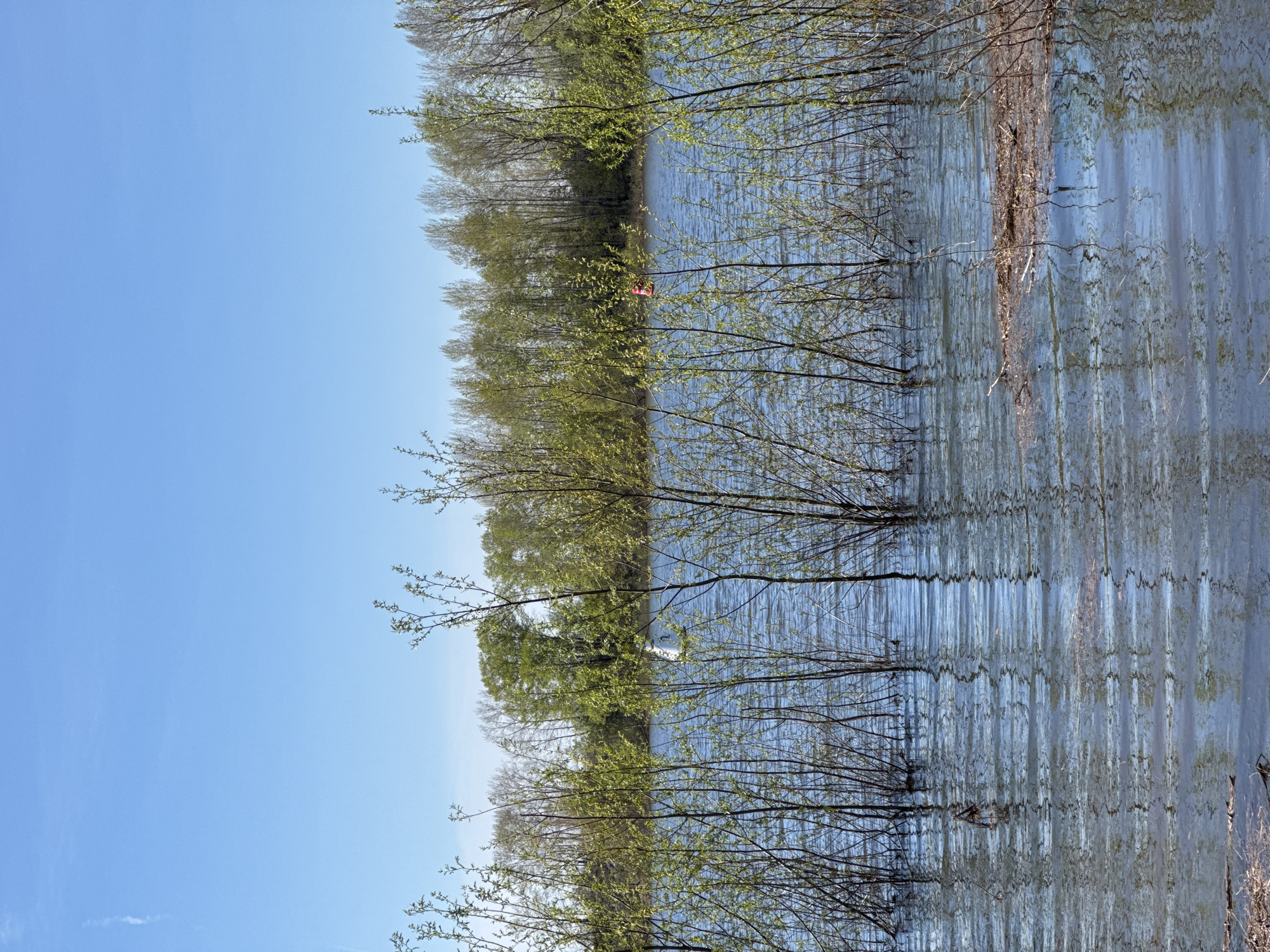 The image depicts a flooded area within a forested landscape. Numerous trees, some partially submerged, line the water's edge. The sky is clear and blue. A single orange object (possibly a kayak or other small watercraft) is visible among the trees and reflected in the water. The location is Chaikovsky, Russia.