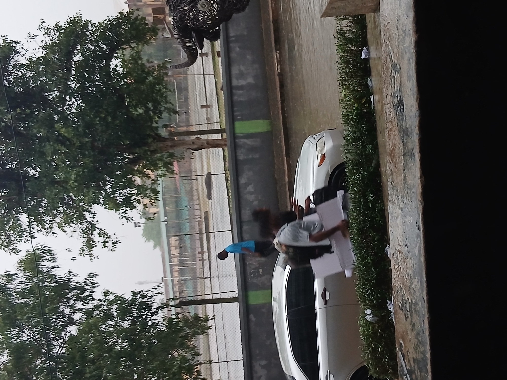 On a street in Lagos, Nigeria, a light-colored car is parked near a fence. Two people are near the car; one is wearing a blue shirt. Another person is holding papers. A large, abstract sculpture of an elephant is visible above the fence. Trees are in the background.