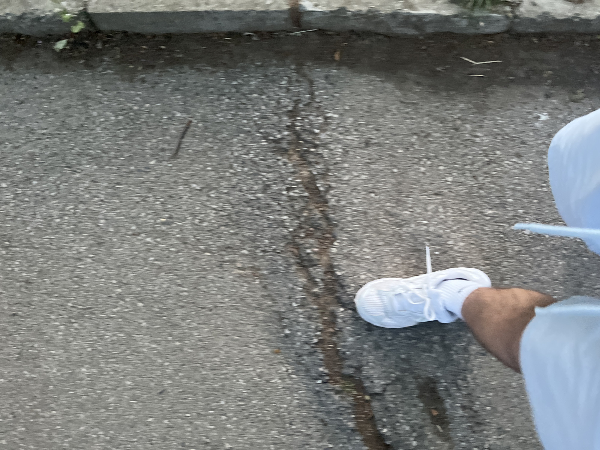 The image depicts a person standing on a cracked asphalt surface, likely a sidewalk. The person is wearing white athletic shoes, white socks, and white pants or shorts. The asphalt has a vertical crack running through the center of the frame. There are some small pieces of debris on the asphalt, including small sticks or twigs. A curb is visible at the top of the frame, with some grass or weeds growing next to it. The image provides no information about Blagoevgrad, Bulgaria. The scene appears to be outdoors.